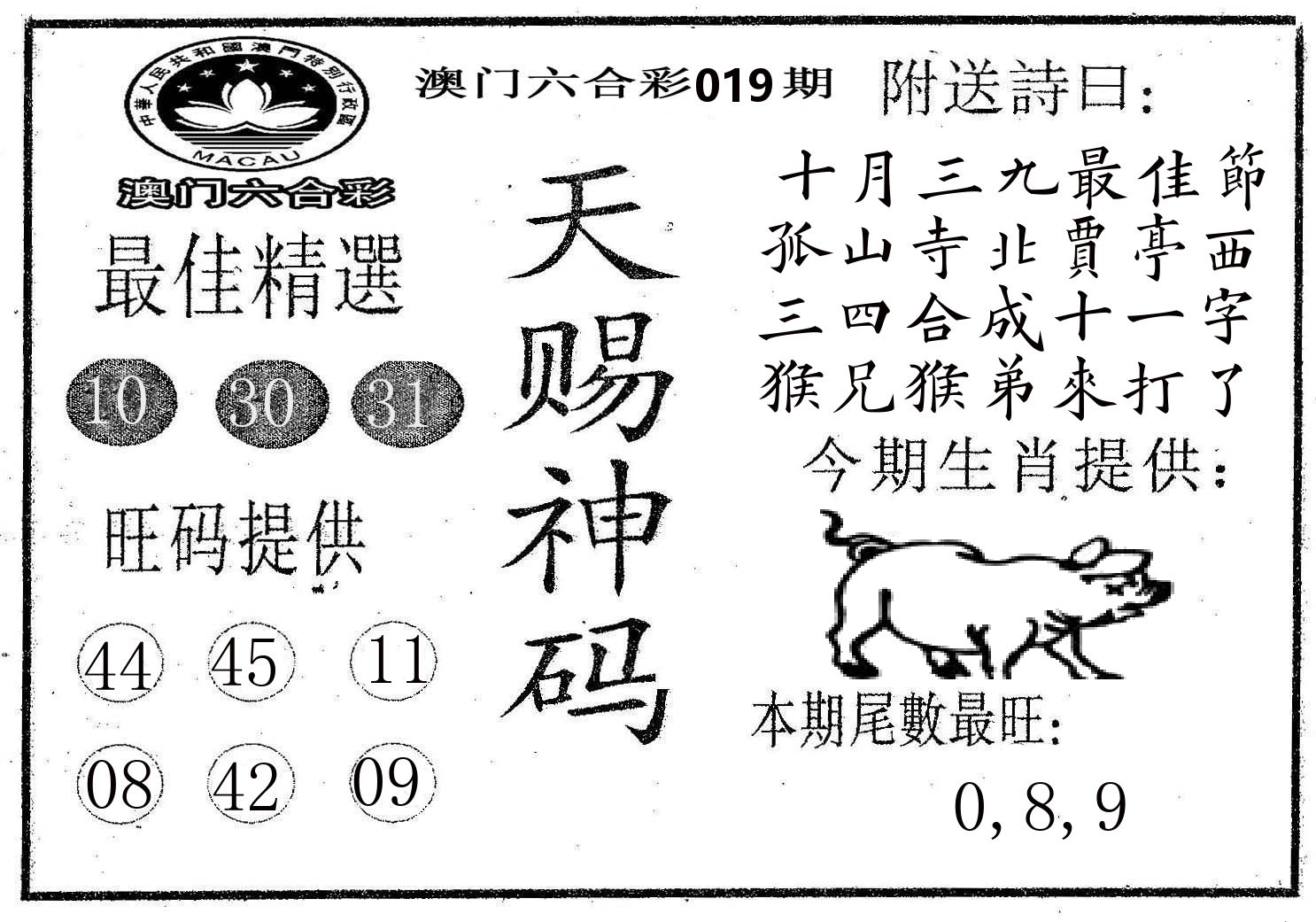 天赐神码 第19期