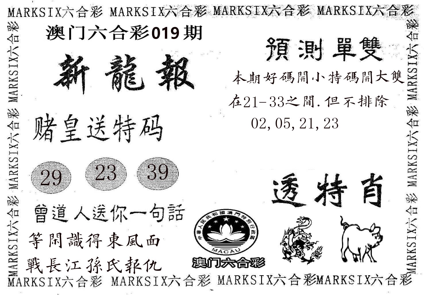 新龙报 第19期