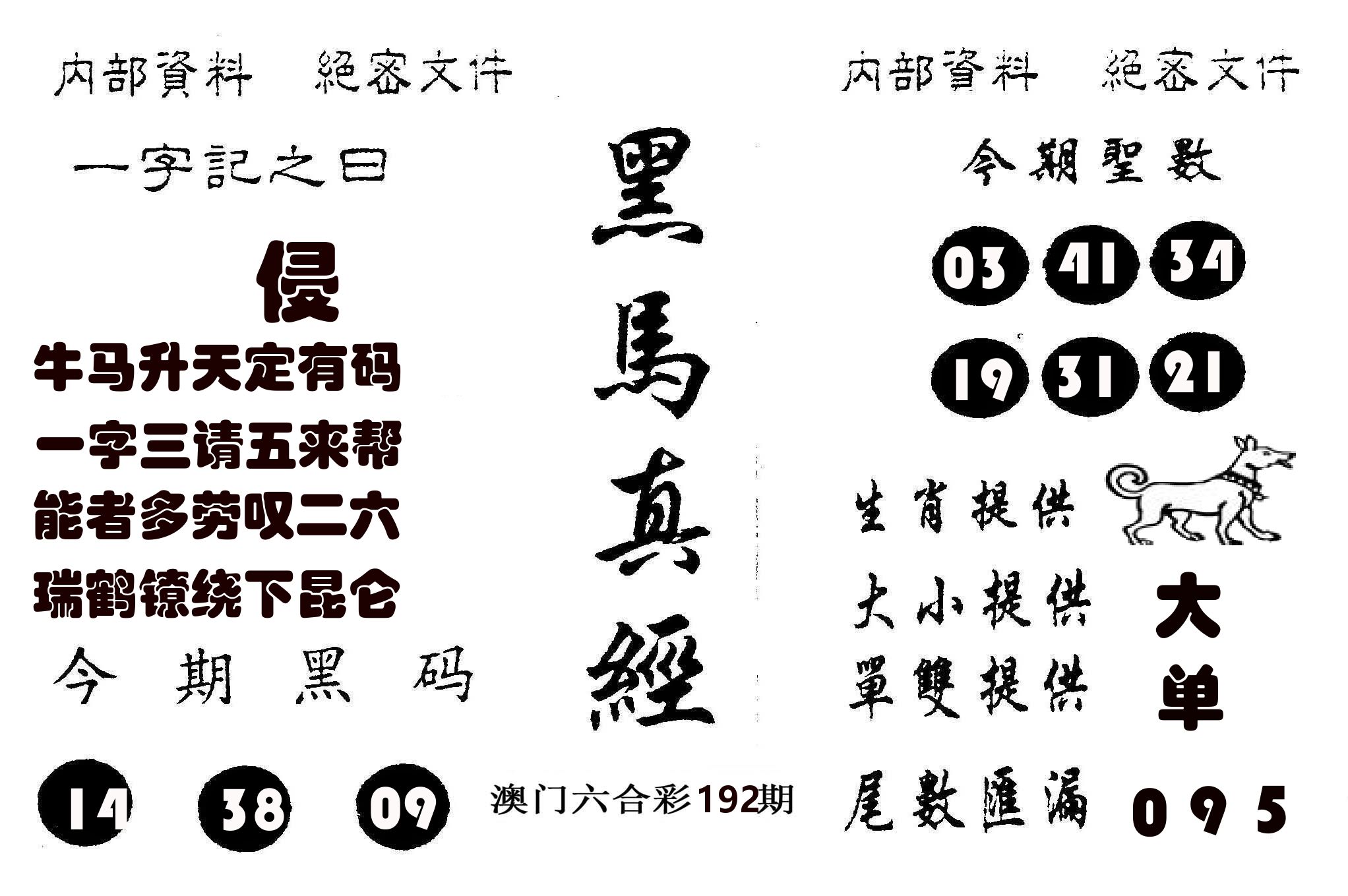黑马真经 第192期