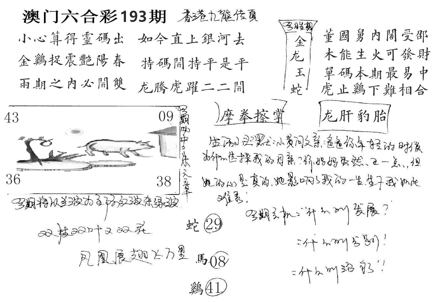 澳门手写九龙 第193期