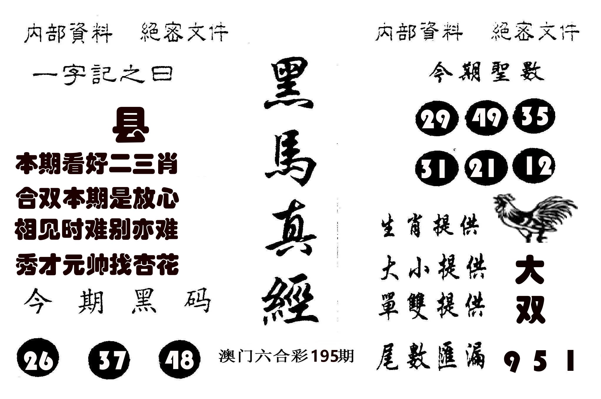 黑马真经 第195期