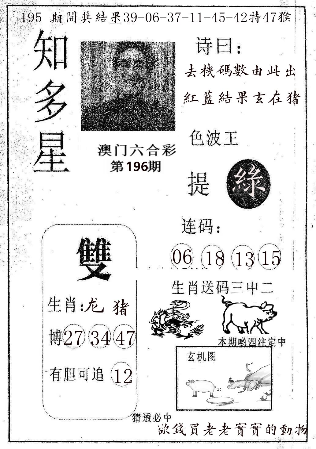知多星 第196期