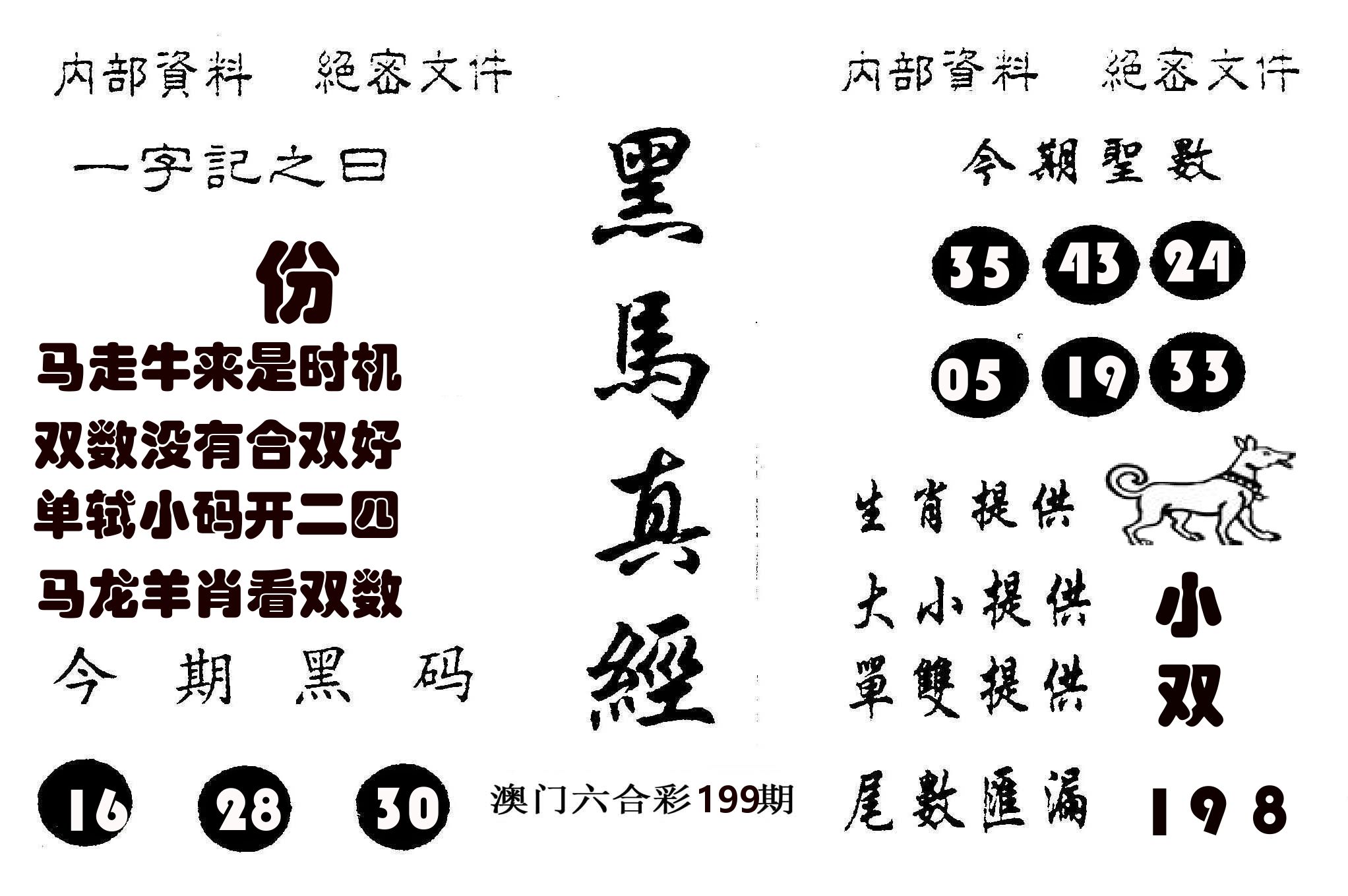 黑马真经 第199期