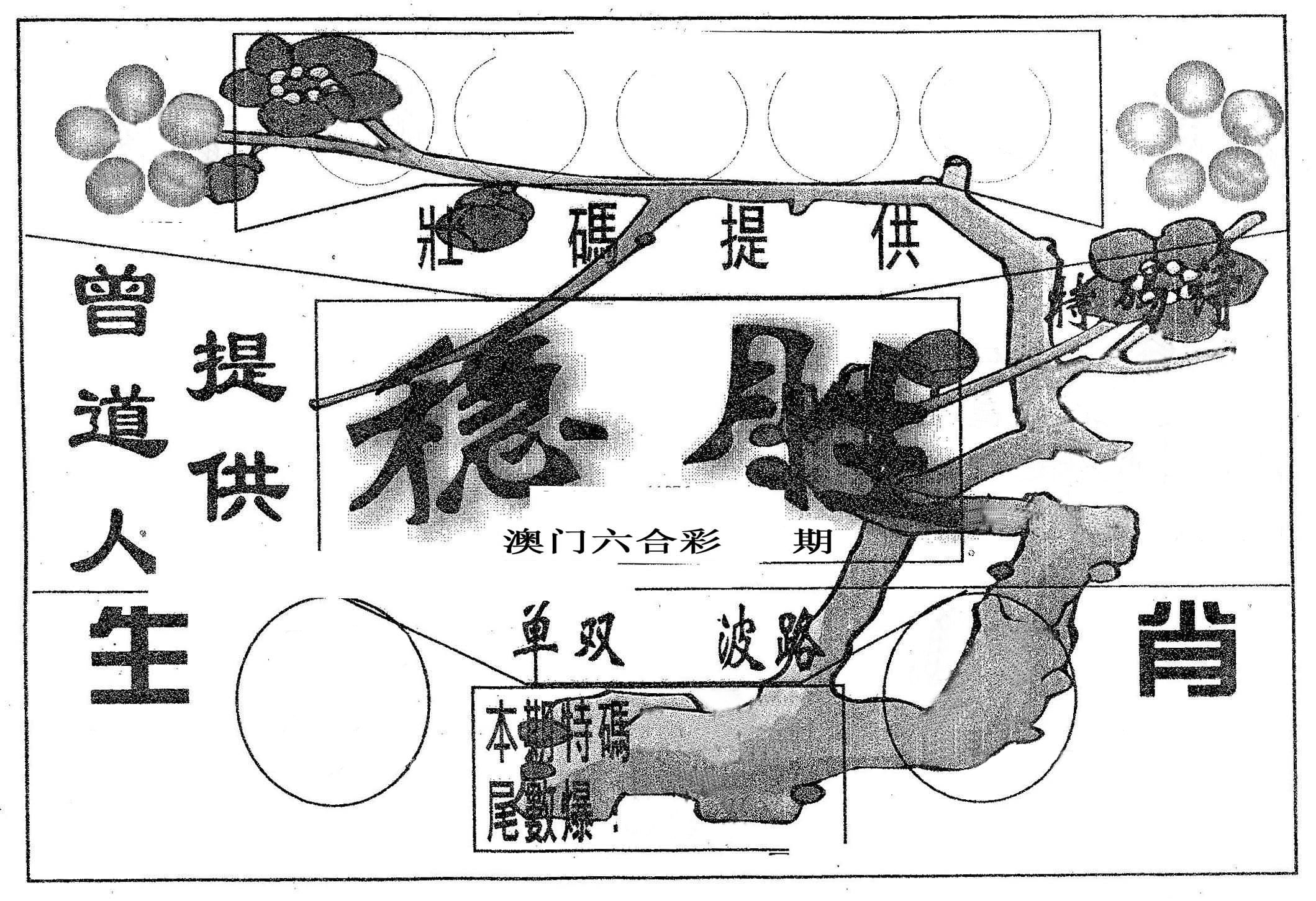 稳胜 第2期