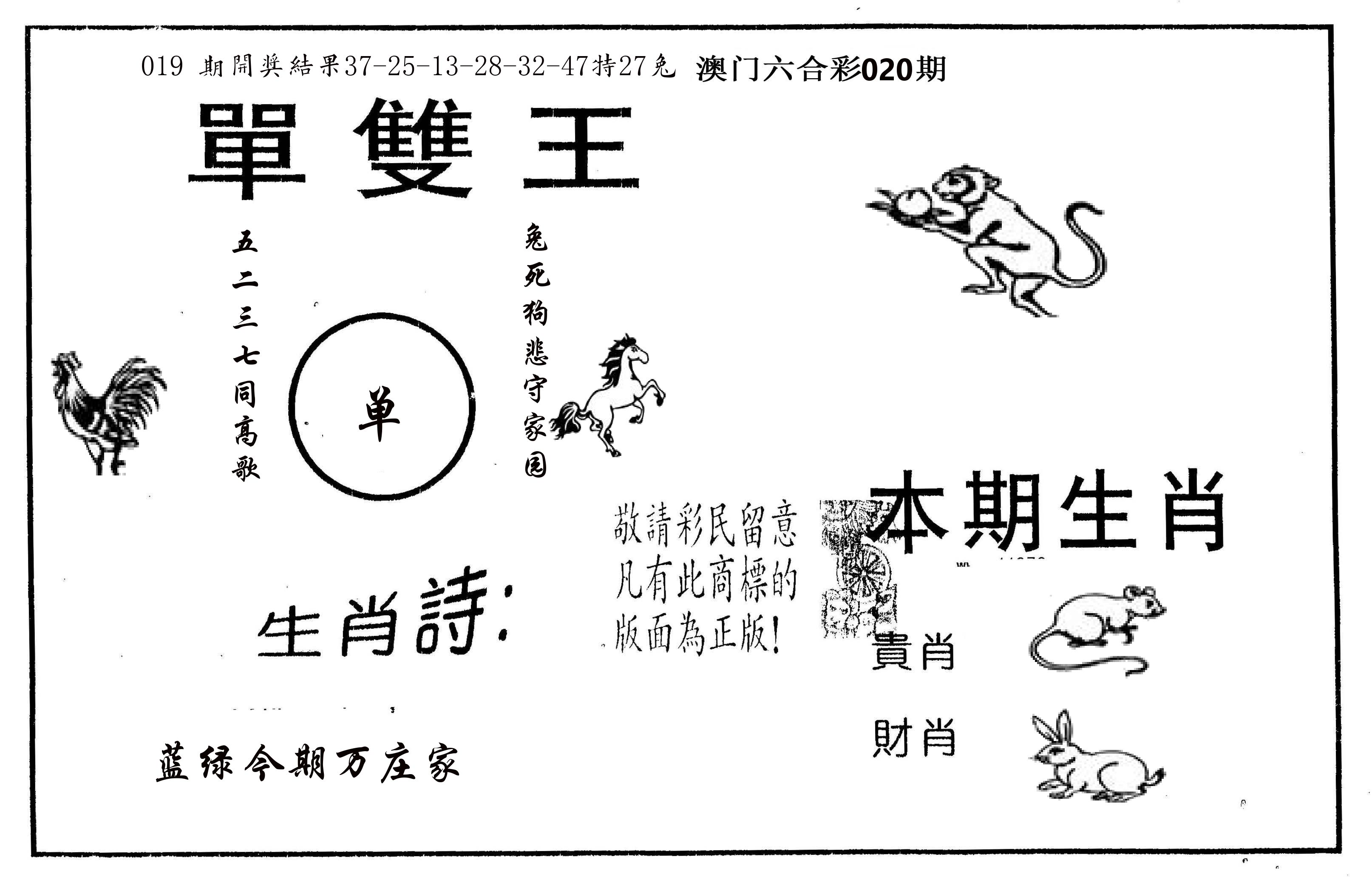 单双王A 第20期