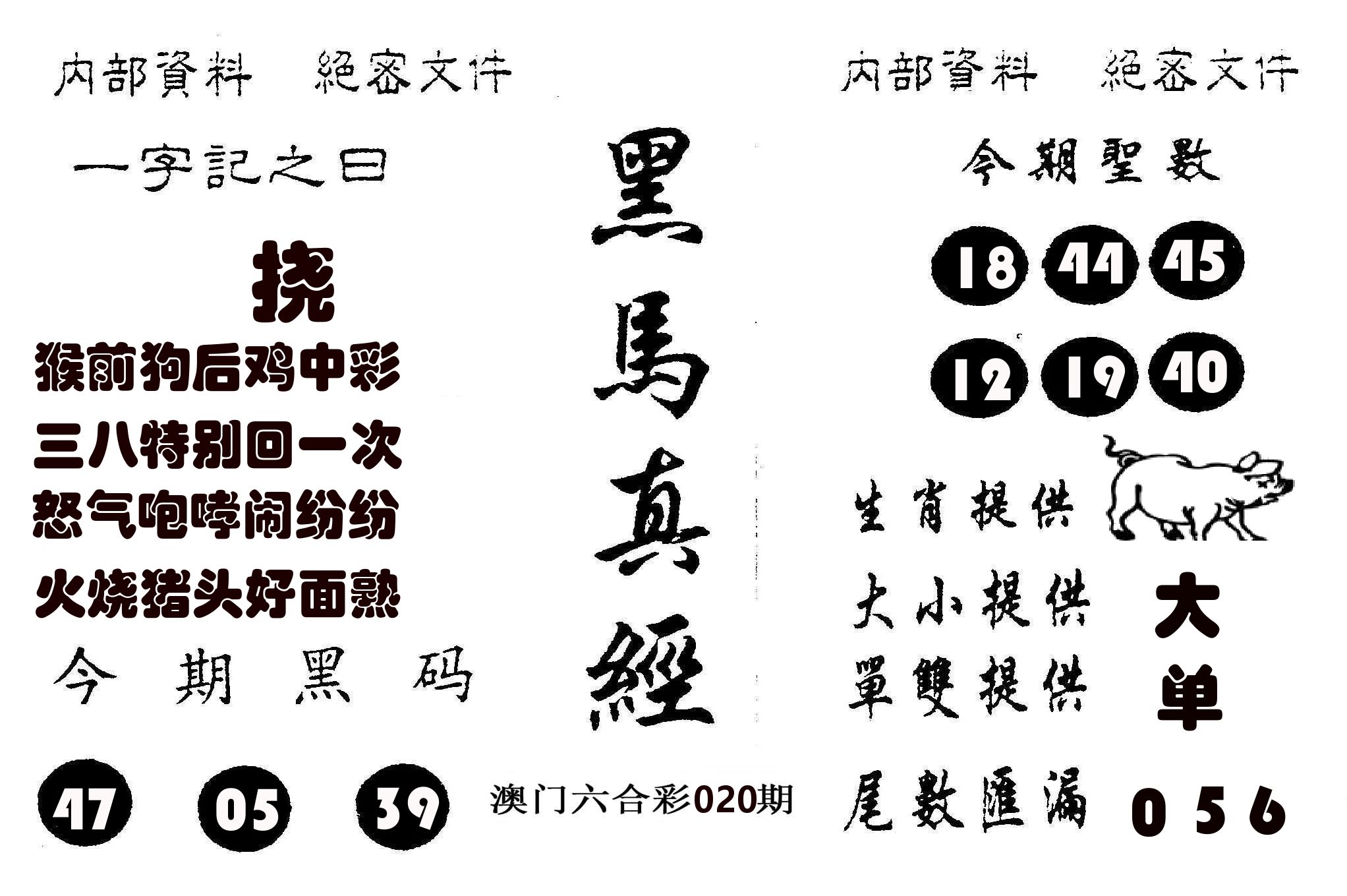 黑马真经 第20期