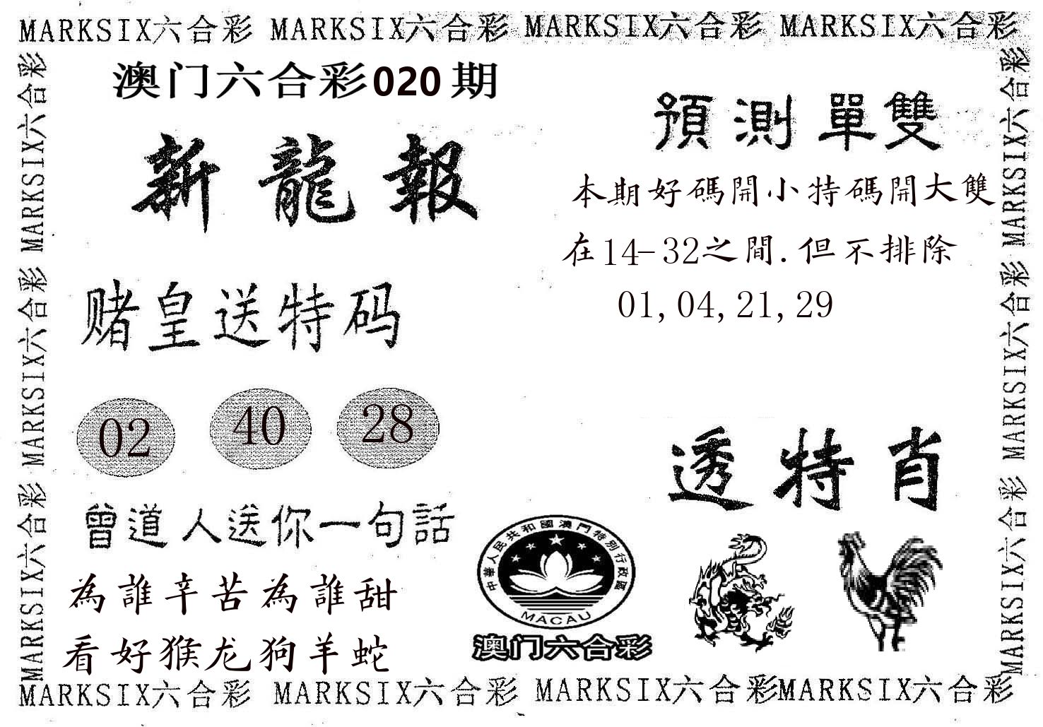 新龙报 第20期