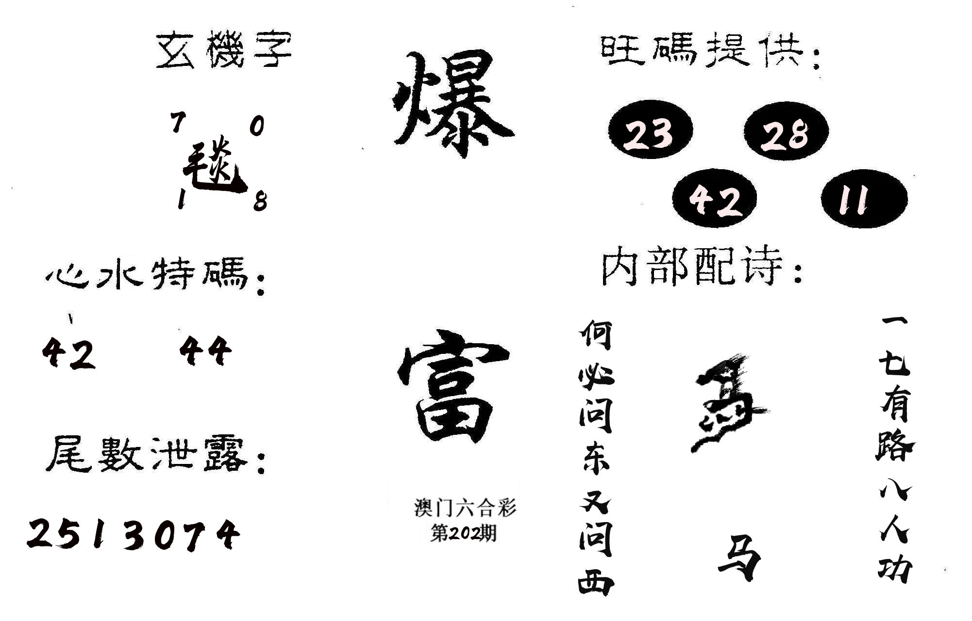 爆富 第202期
