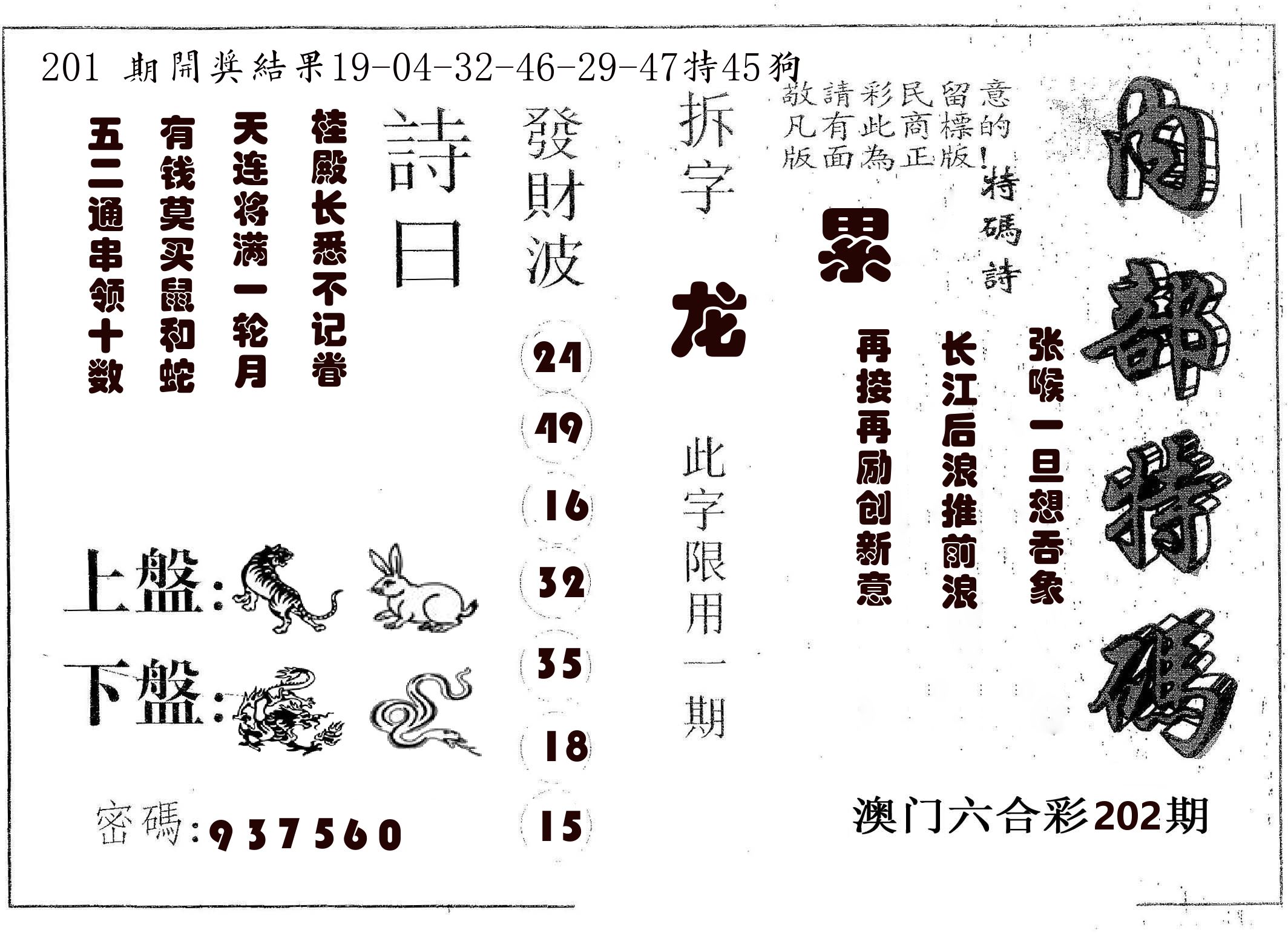 内部特码 第202期