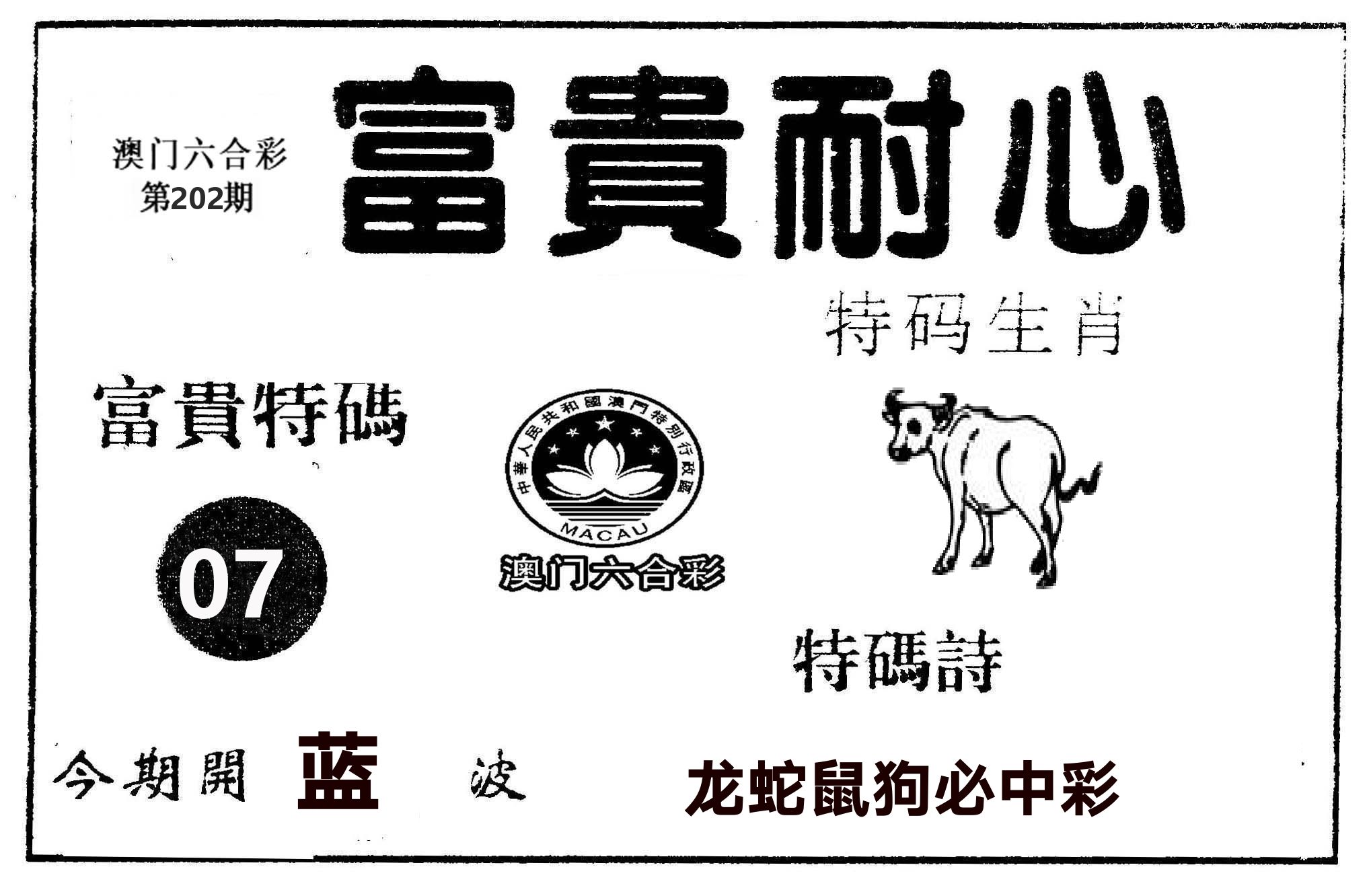富贵耐心 第202期