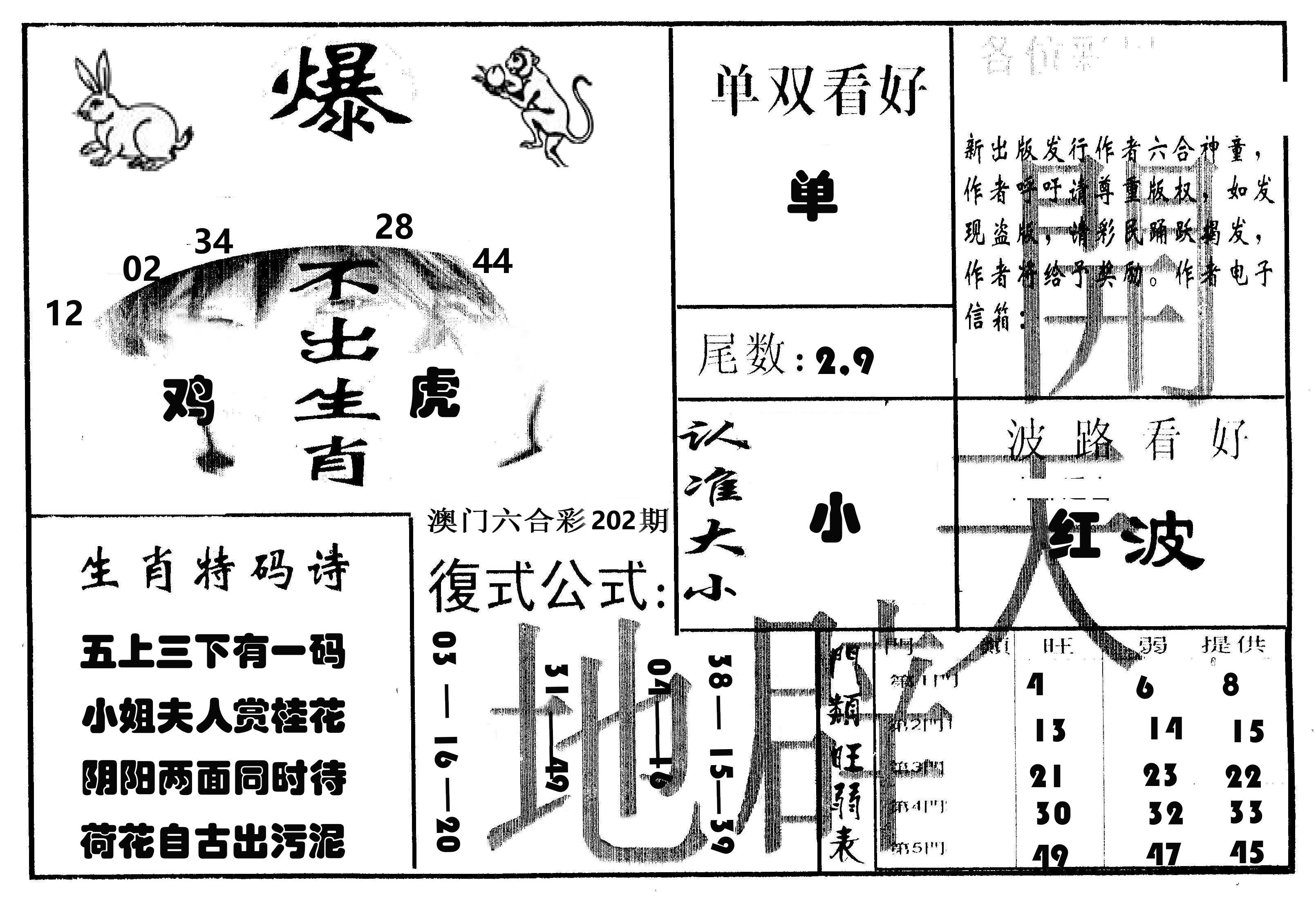 开天辟地 第202期
