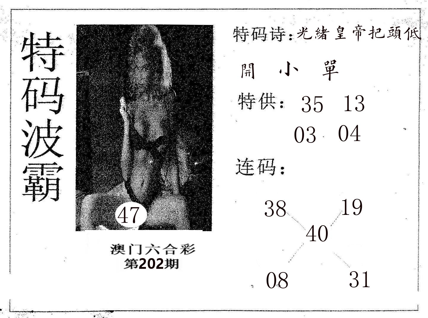 特码波霸 第202期