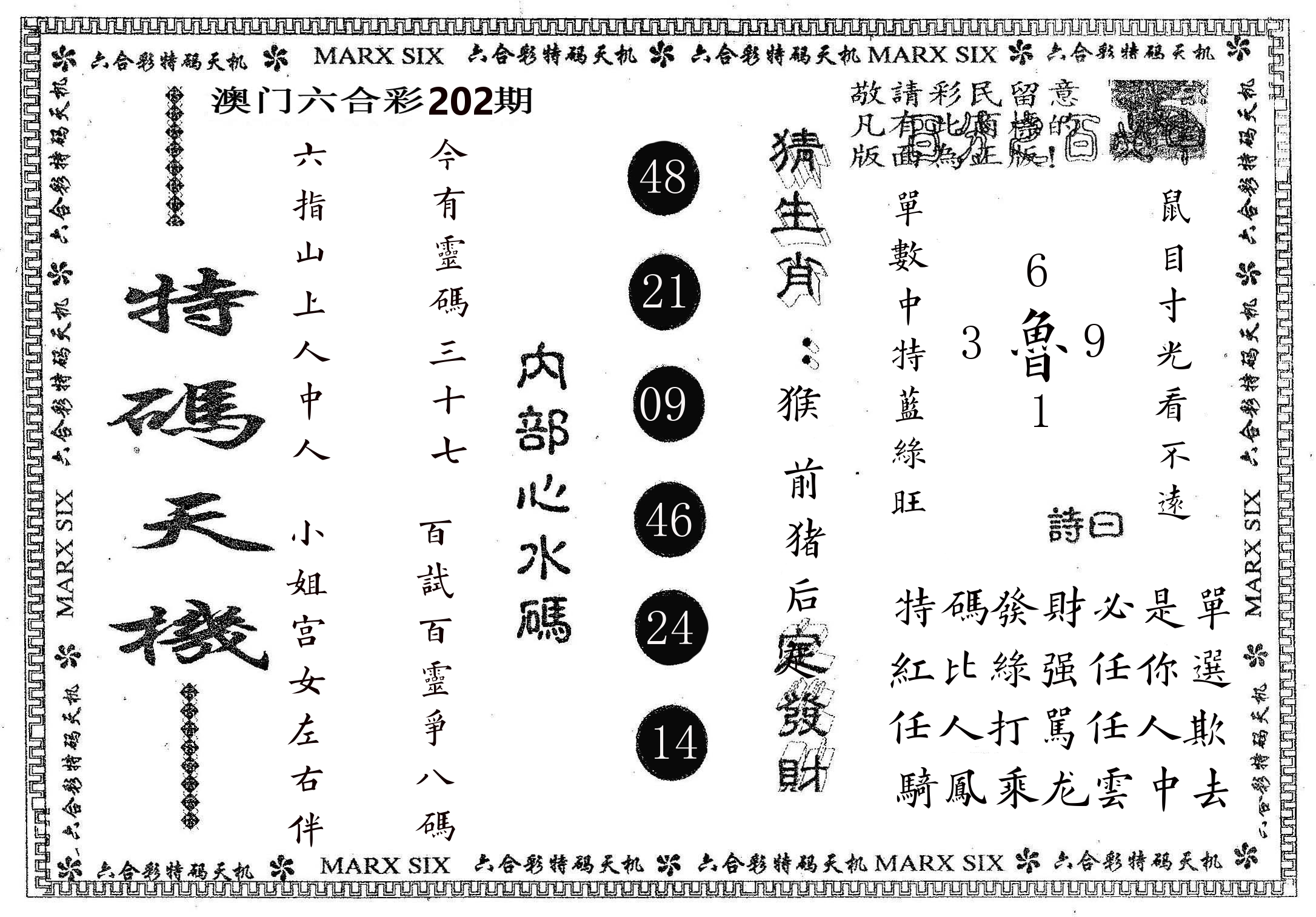 特码天机 第202期