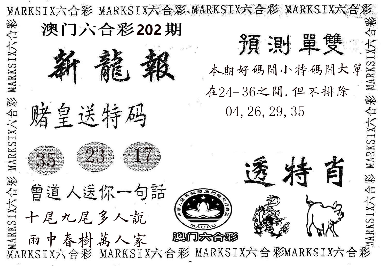 新龙报 第202期
