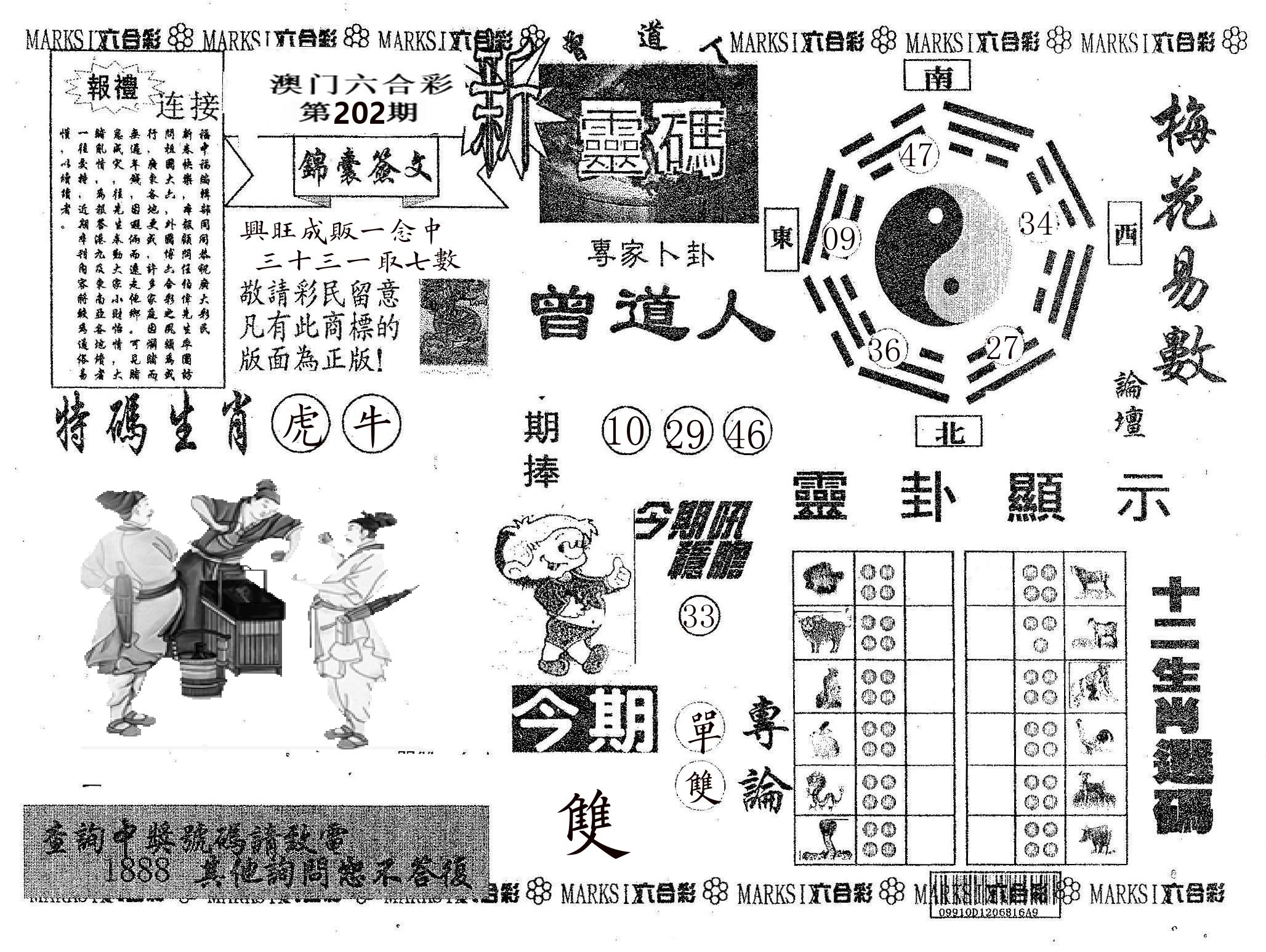 新灵码 第202期