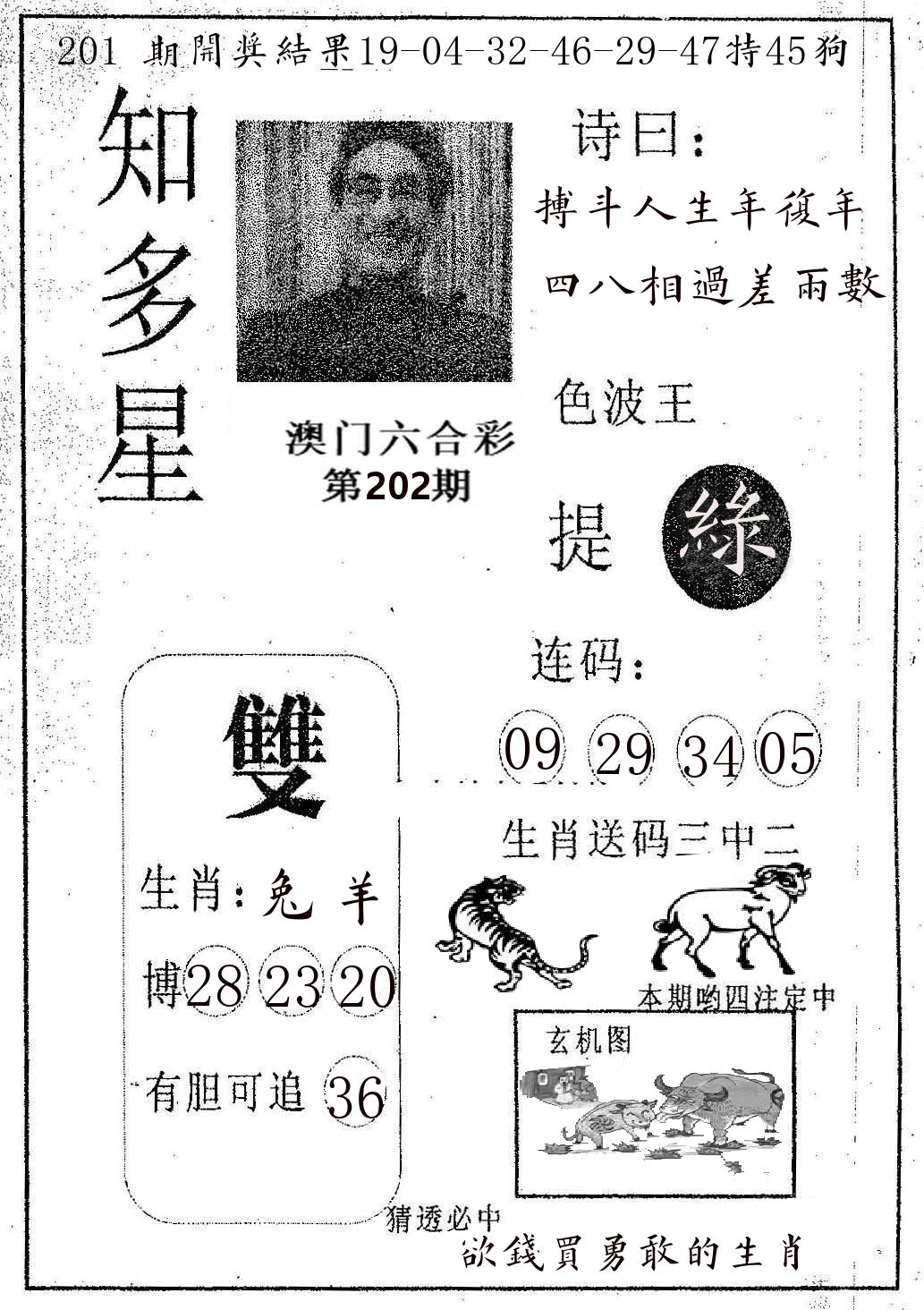 知多星 第202期