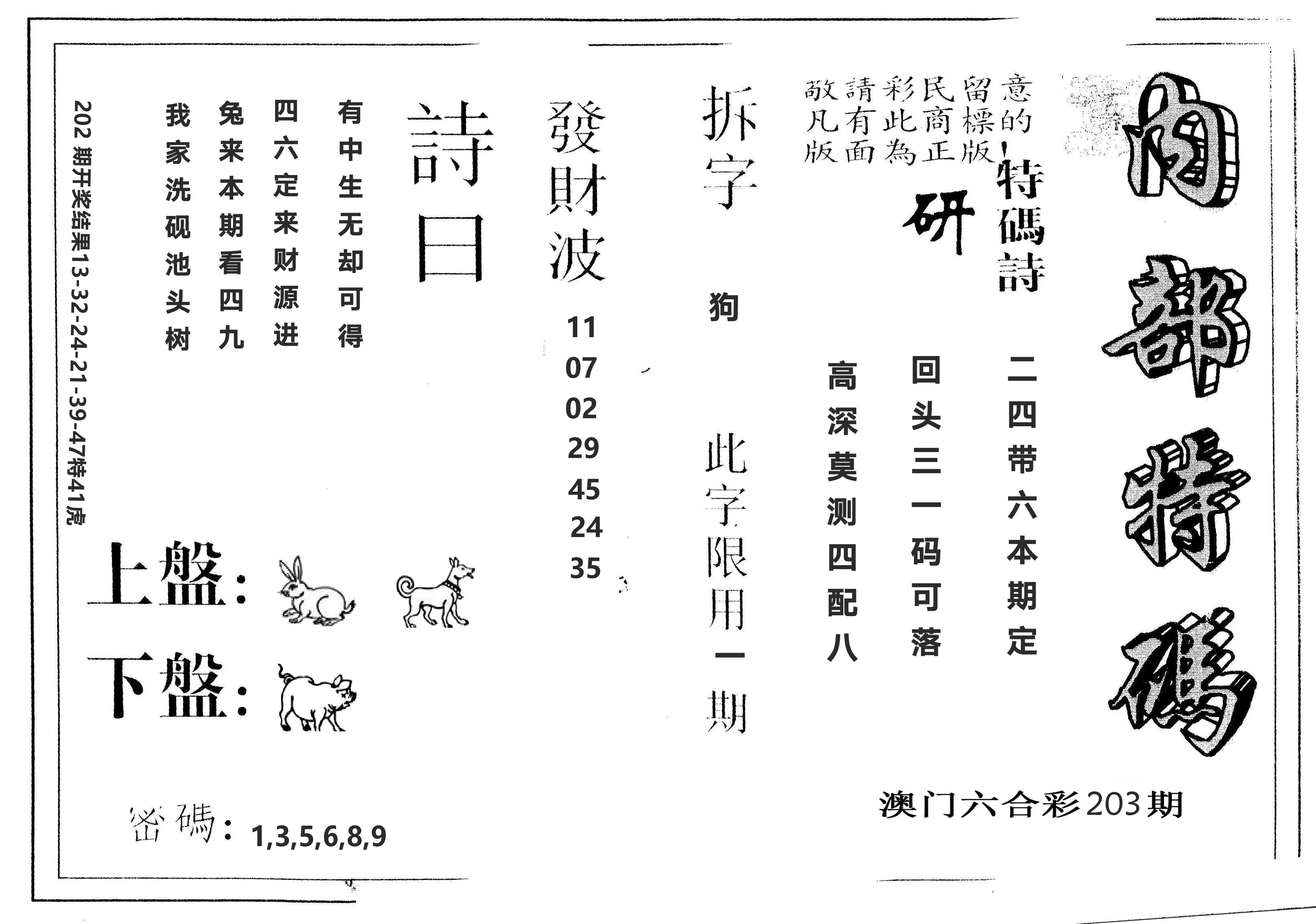 另版内部特码 第203期