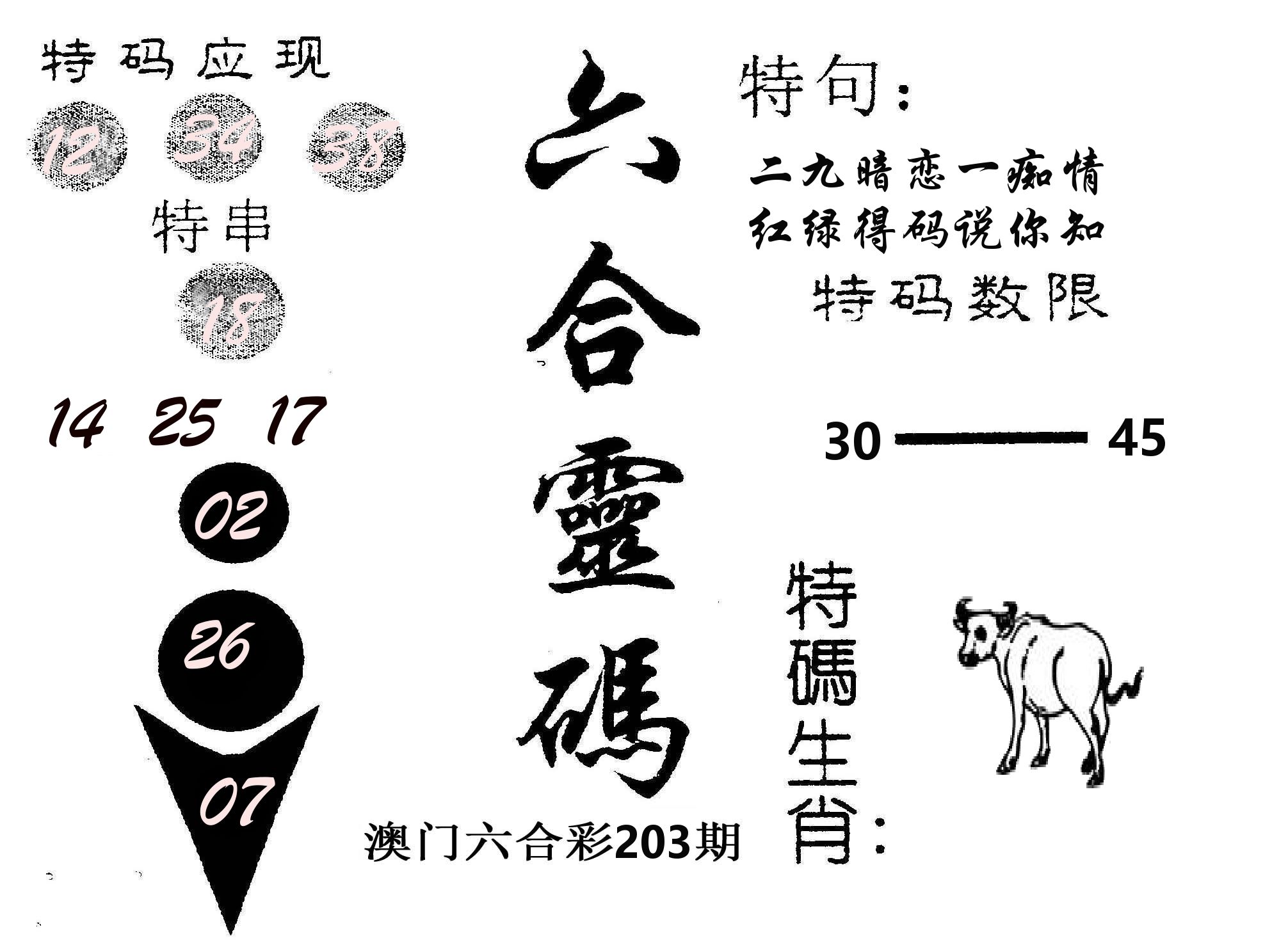 六合灵码 第203期