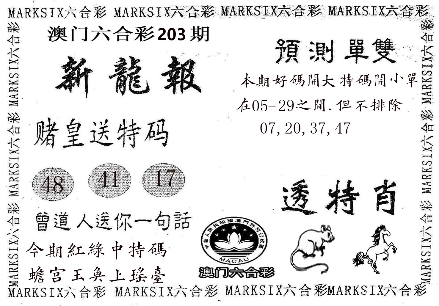 新龙报 第203期