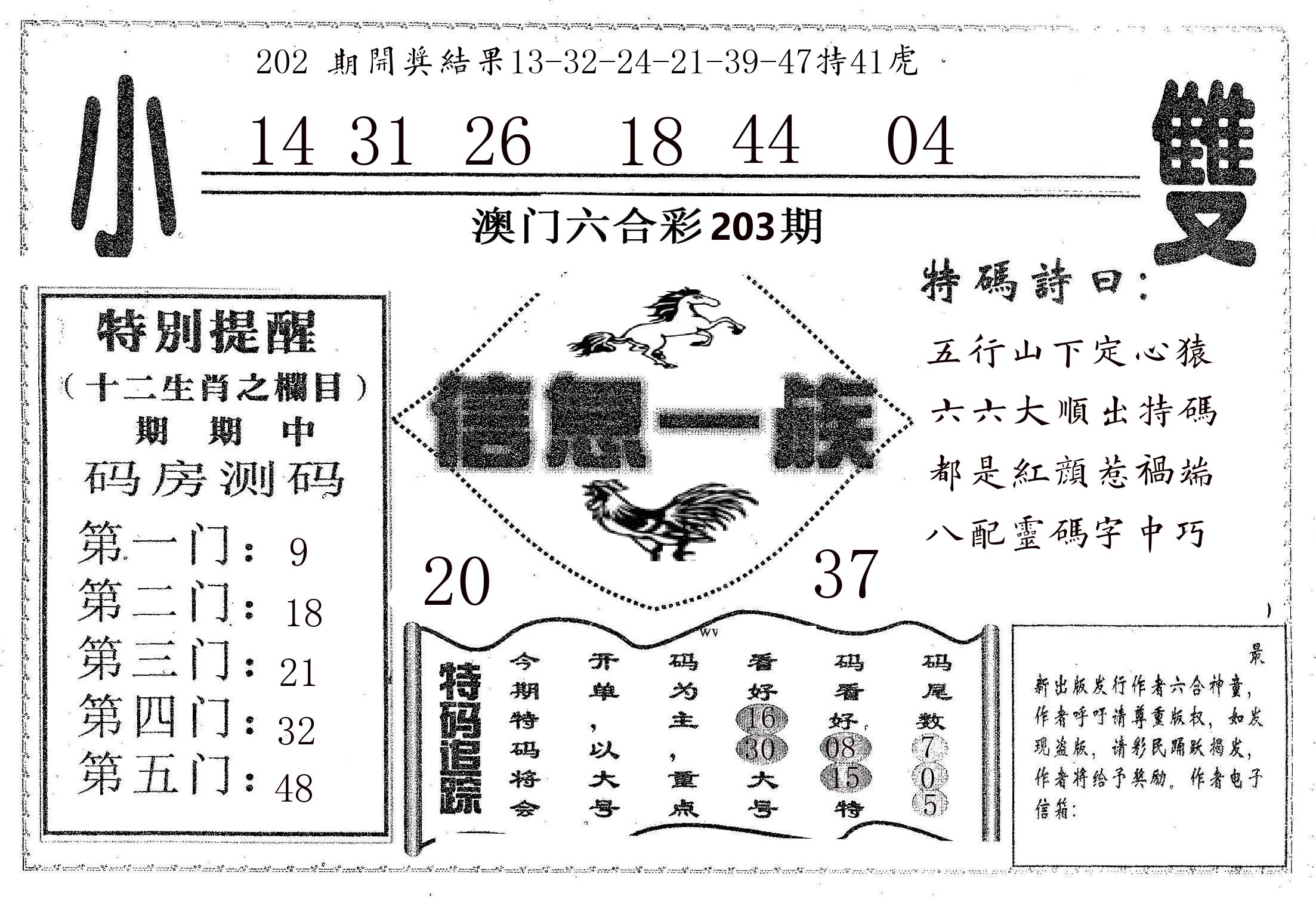 信息一族 第203期