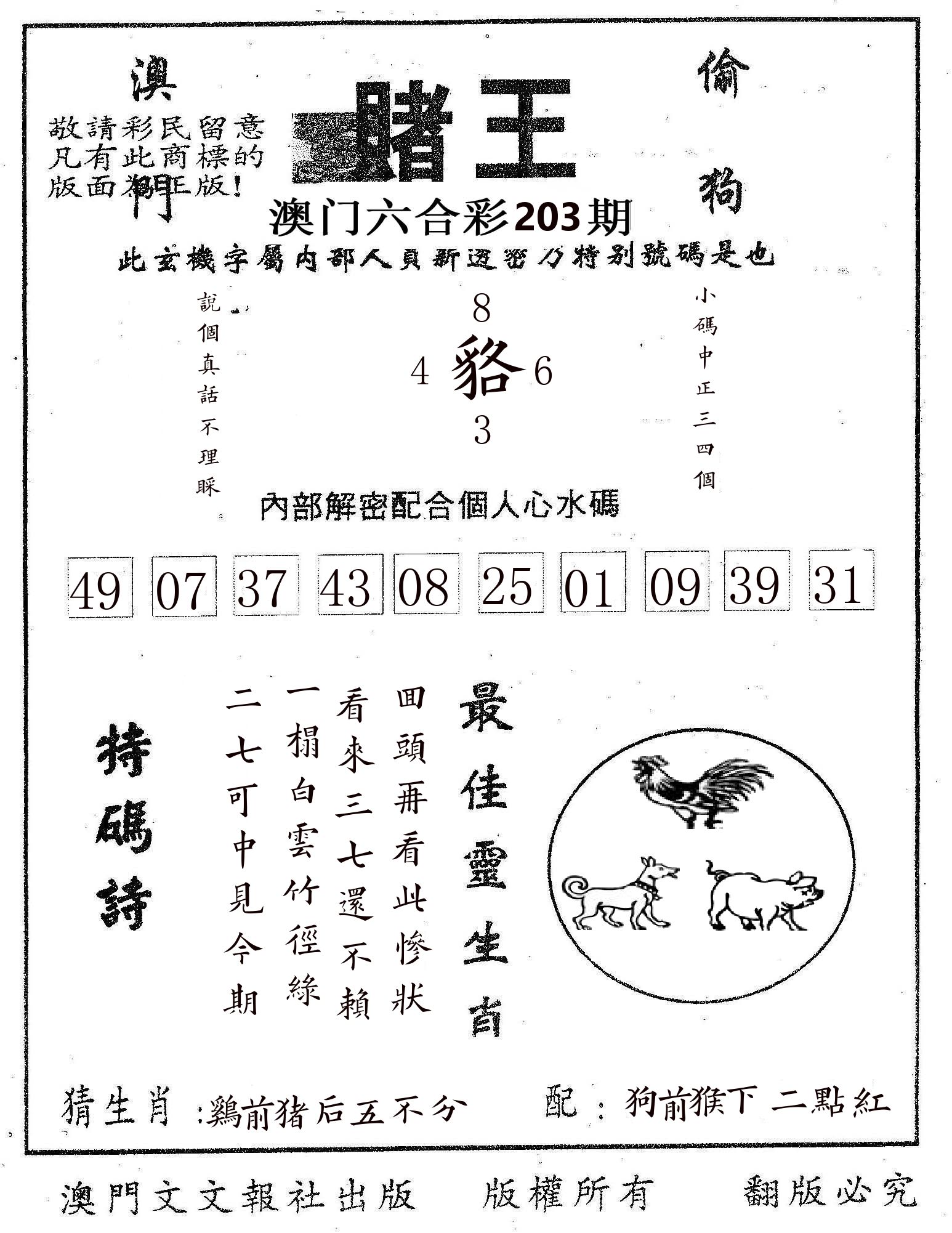 赌王 第203期