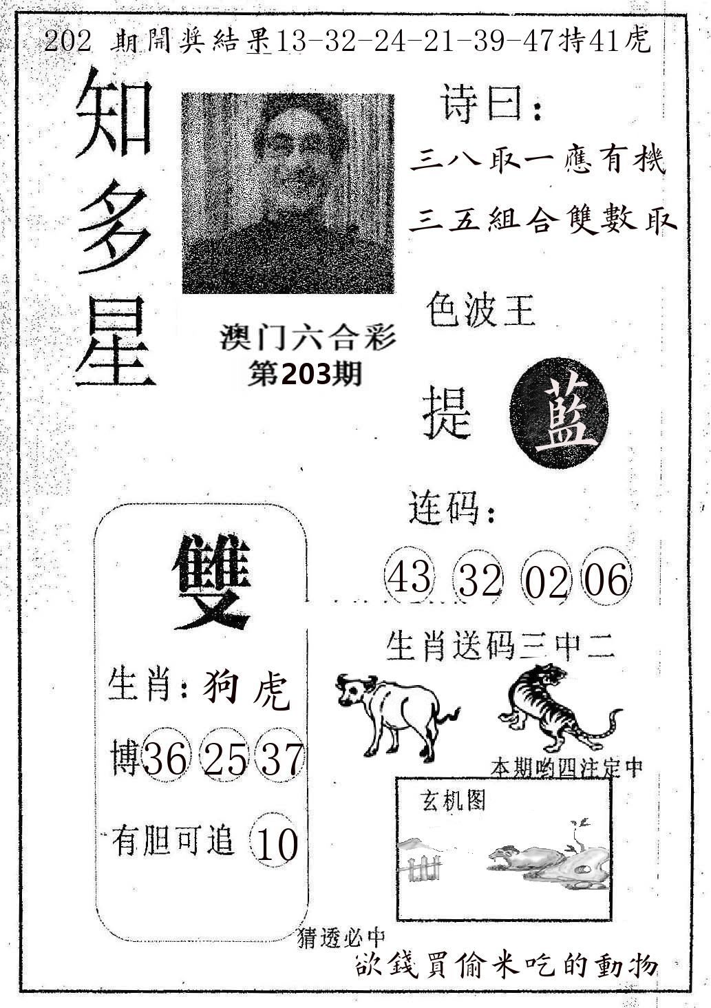 知多星 第203期