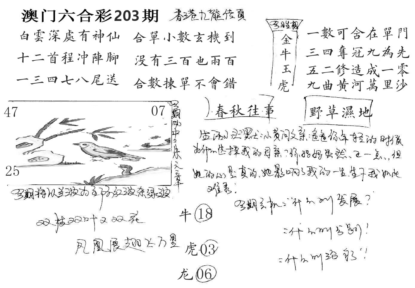 澳门手写九龙 第203期
