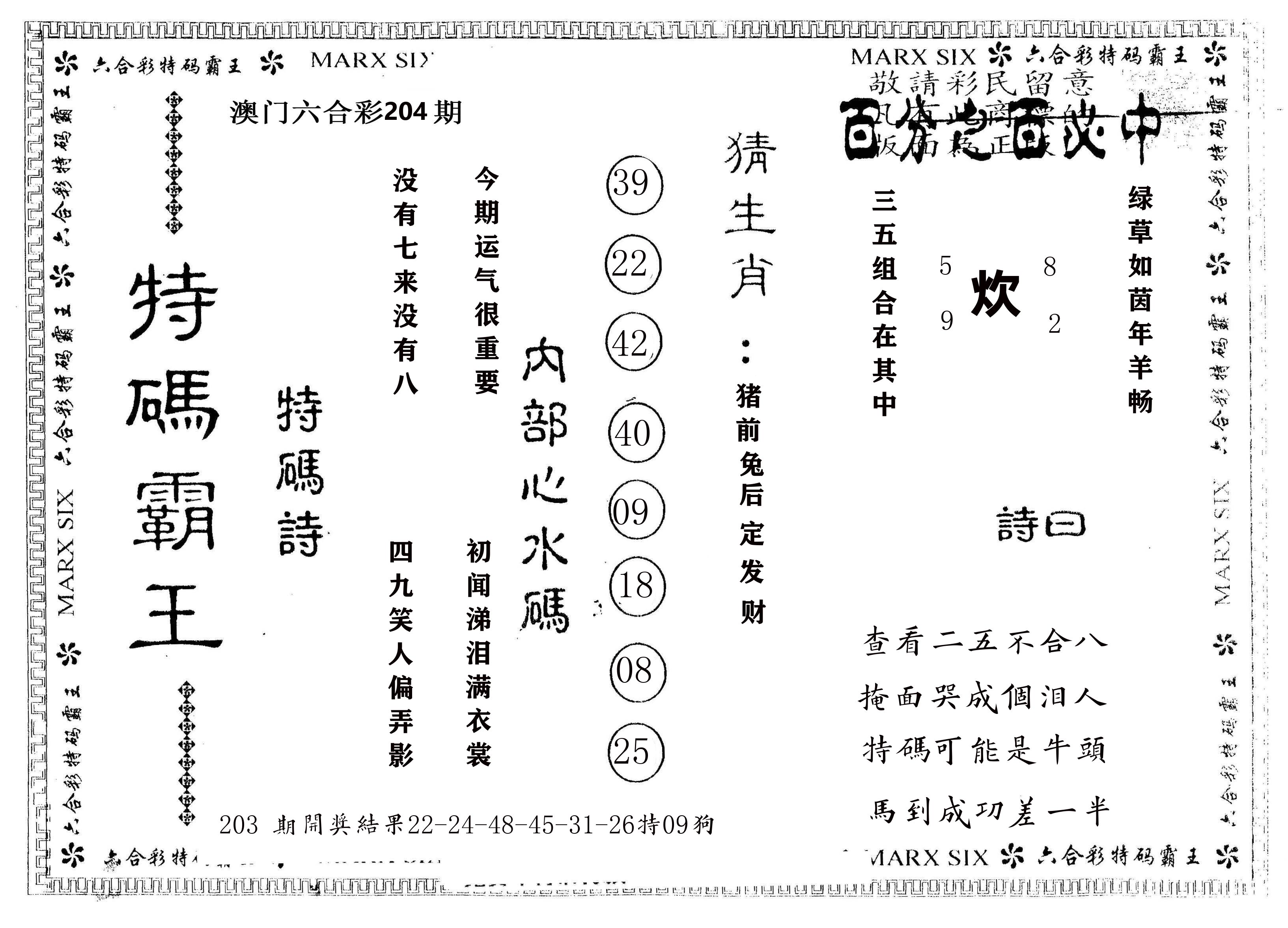 另版特码霸王 第204期