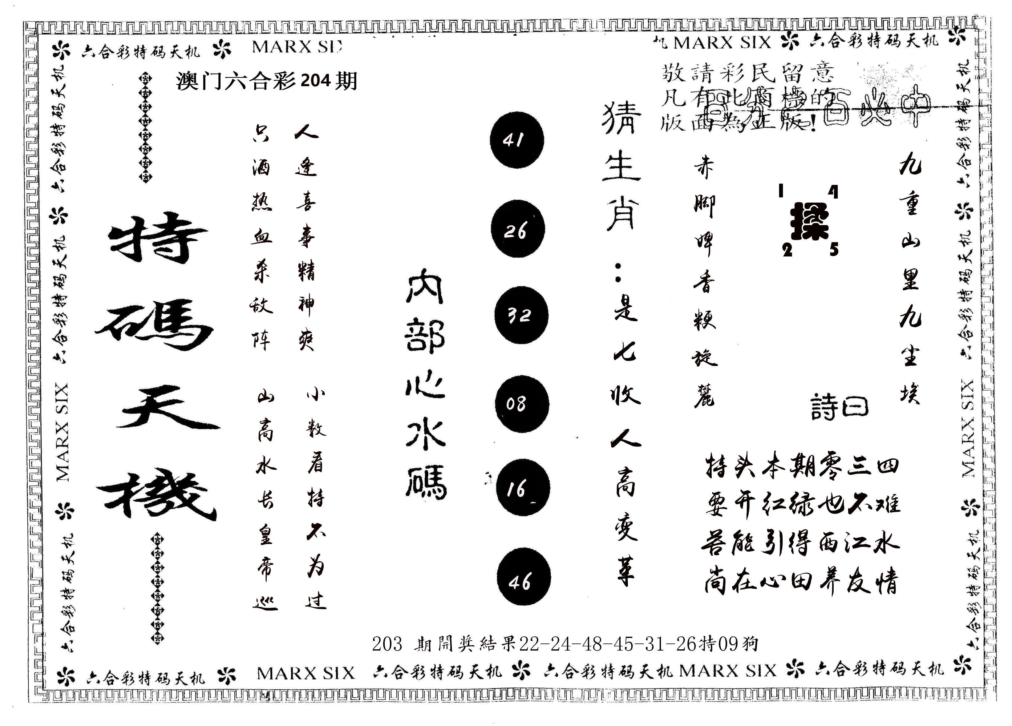 另版特码天机 第204期