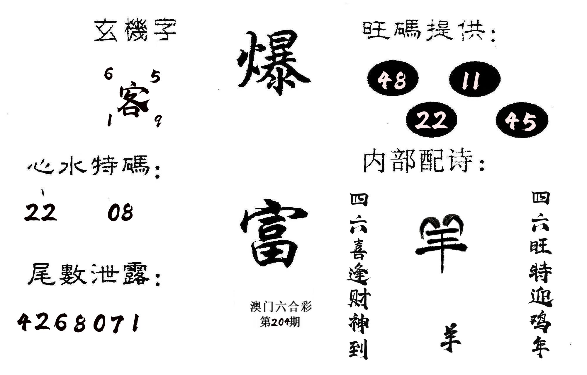 爆富 第204期