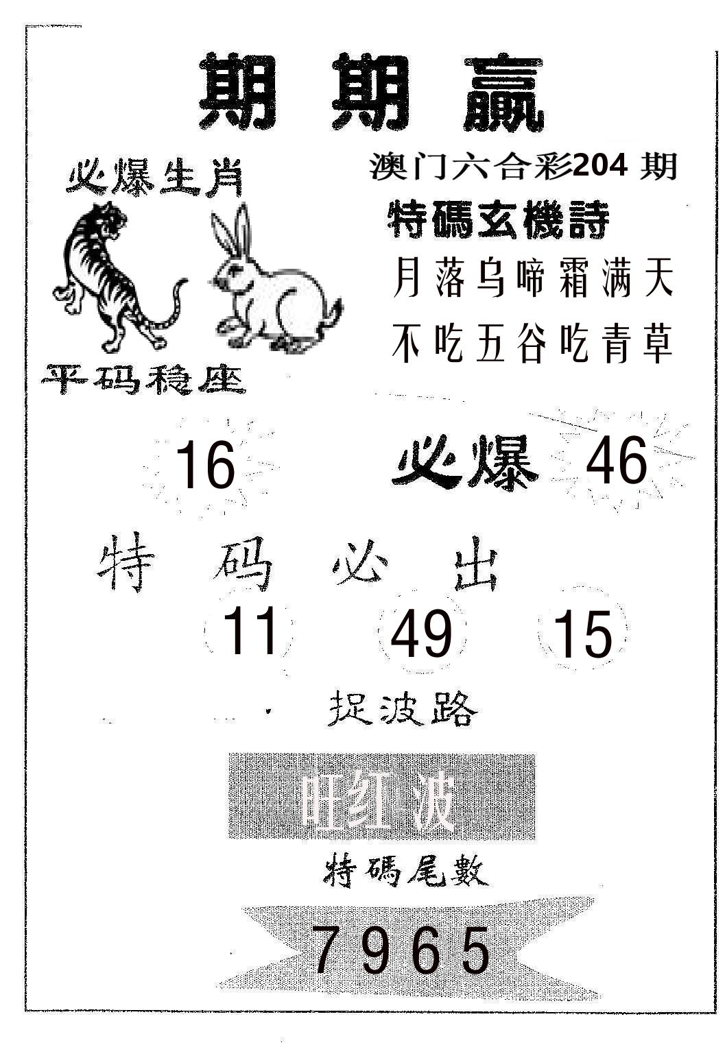 期期赢 第204期
