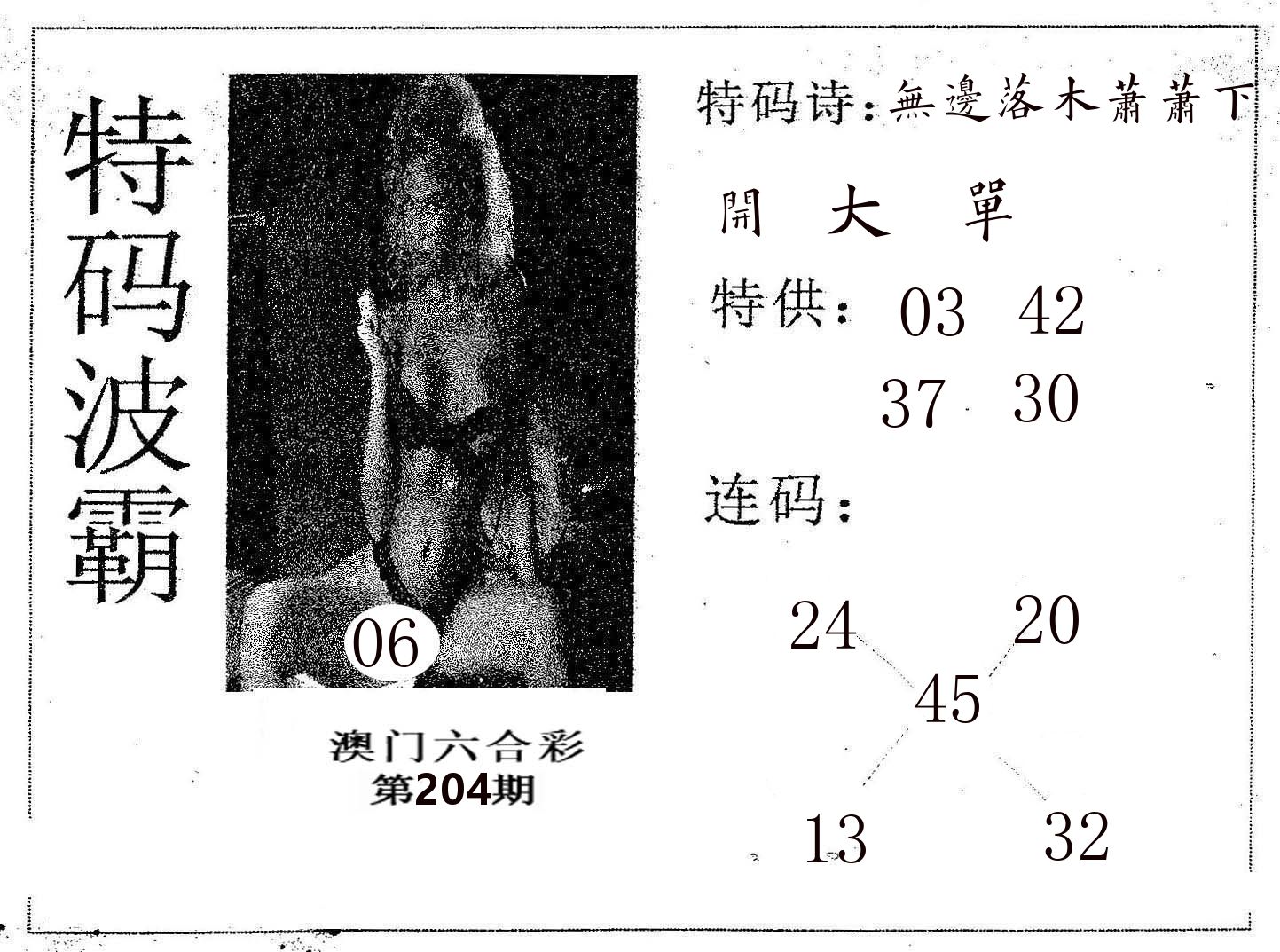 特码波霸 第204期