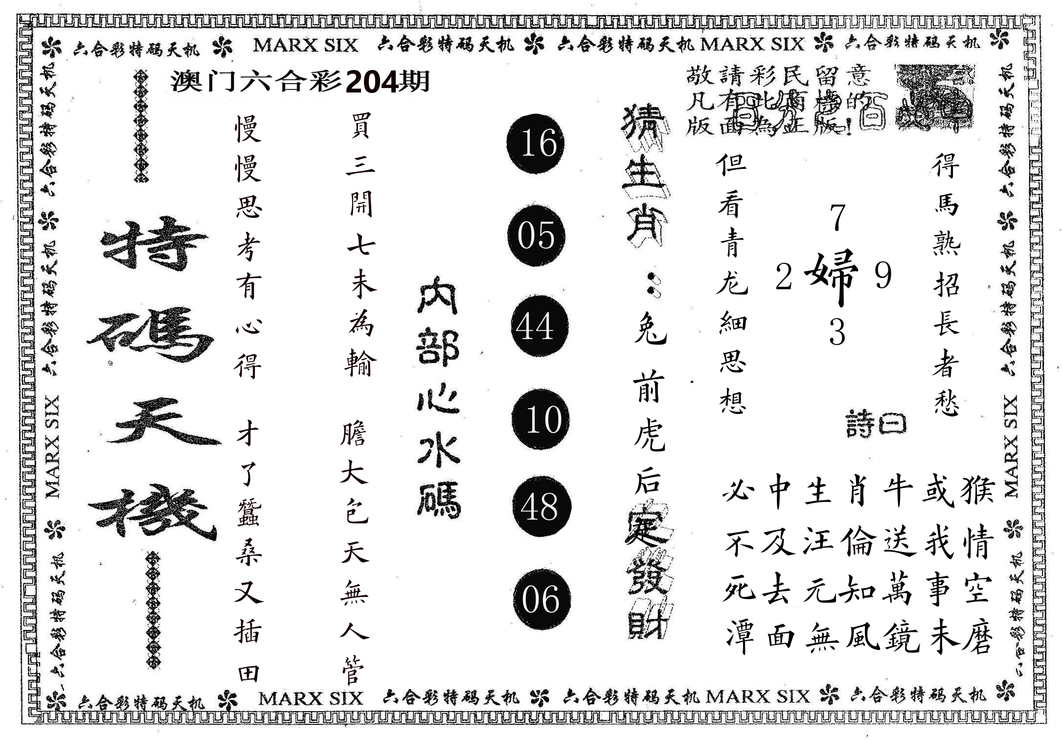 特码天机 第204期