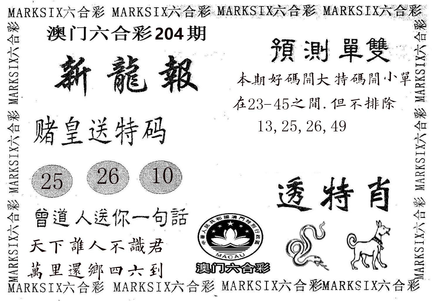 新龙报 第204期
