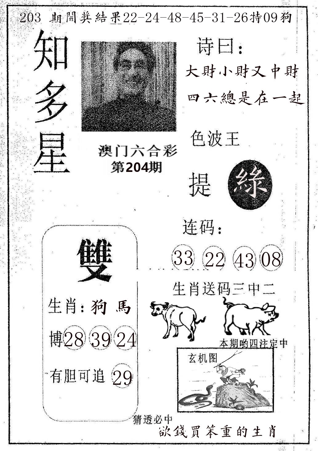 知多星 第204期