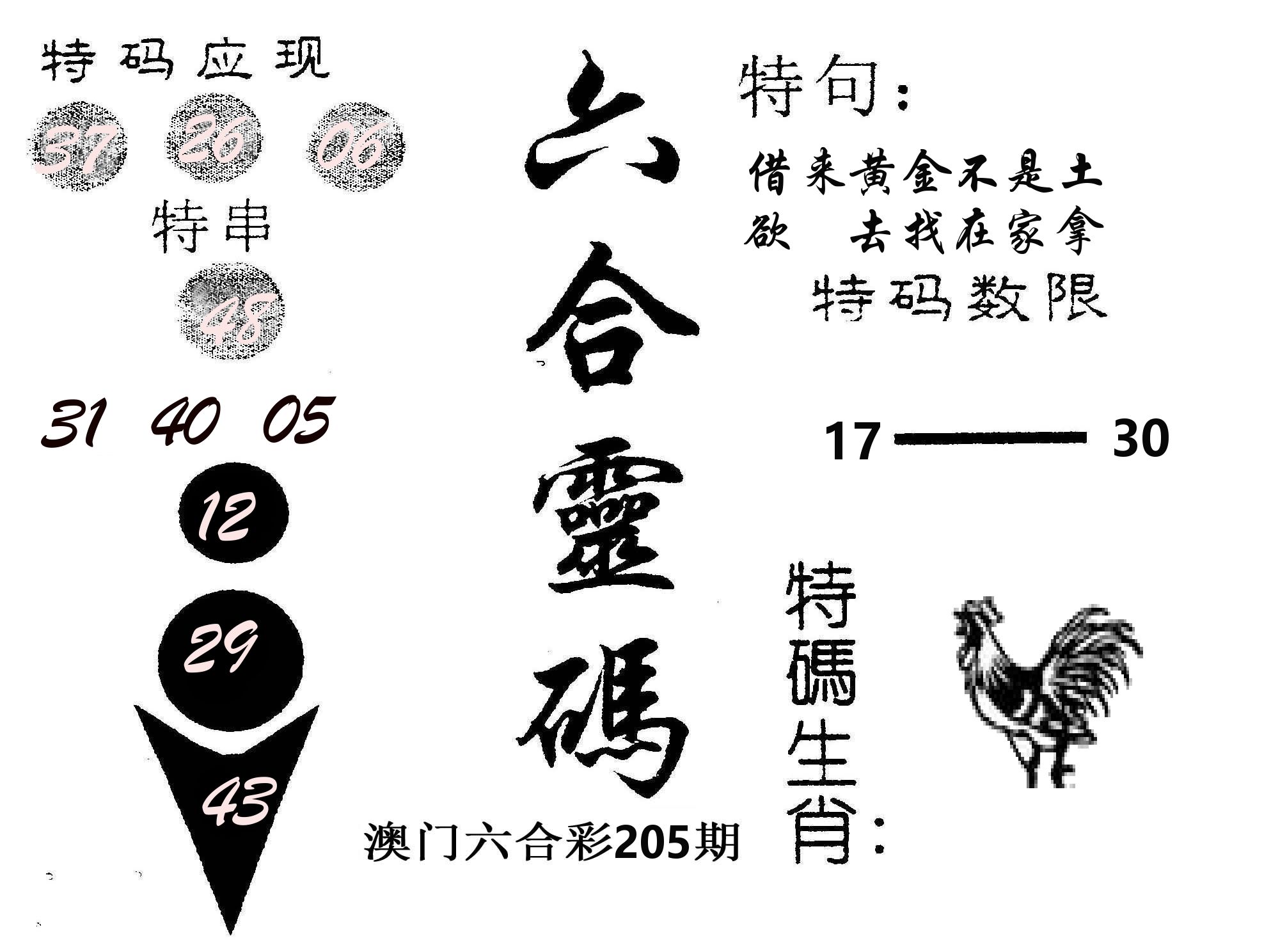 六合灵码 第205期