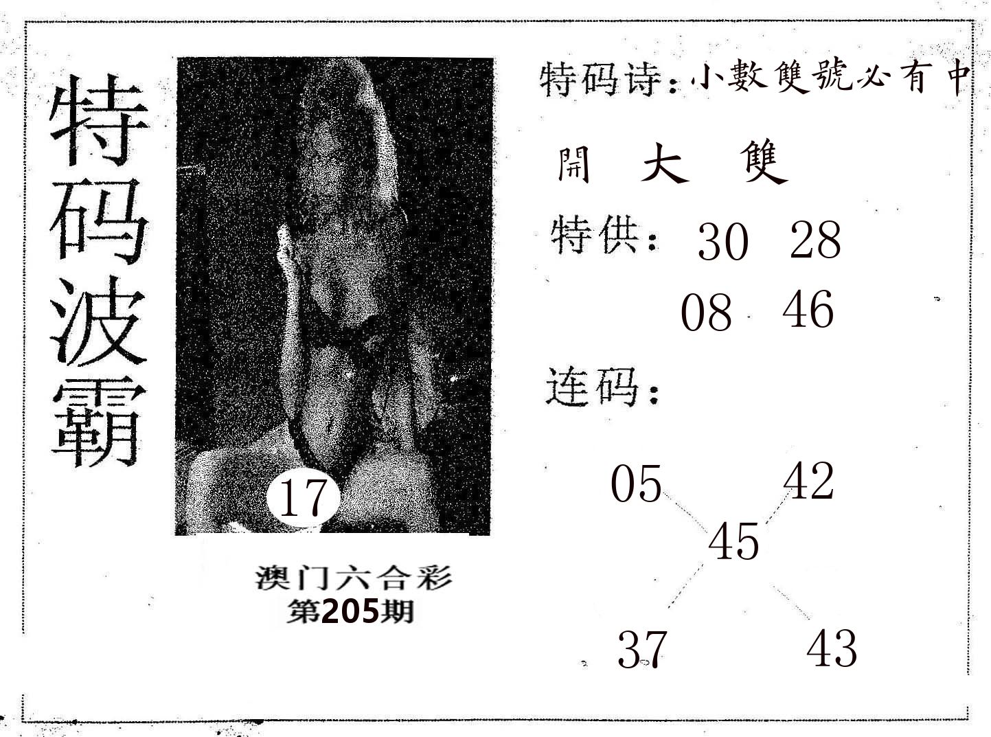 特码波霸 第205期