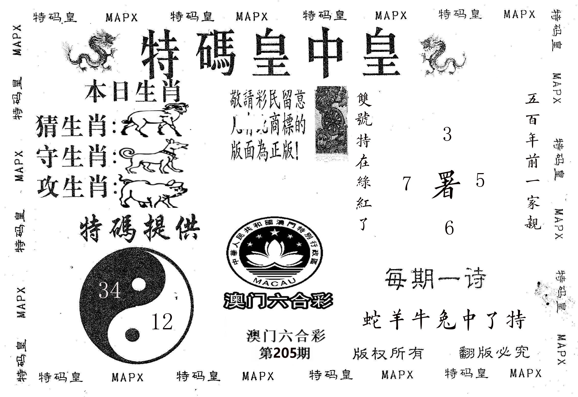 皇中皇B 第205期