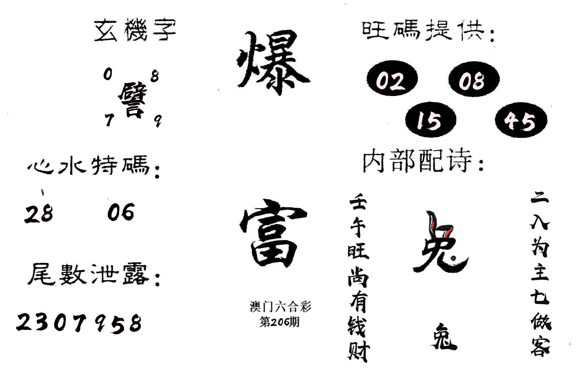爆富 第206期