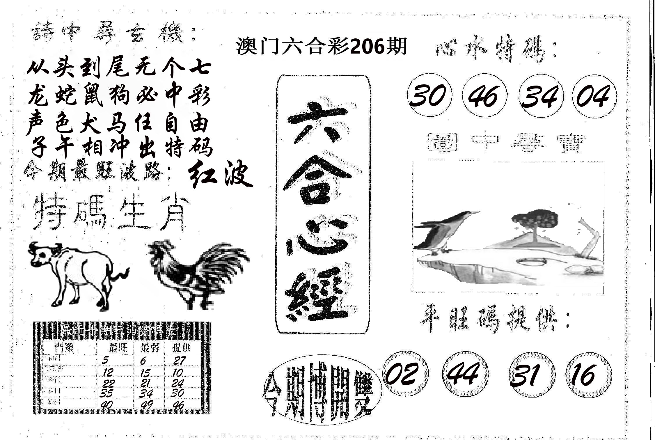 六合心经 第206期