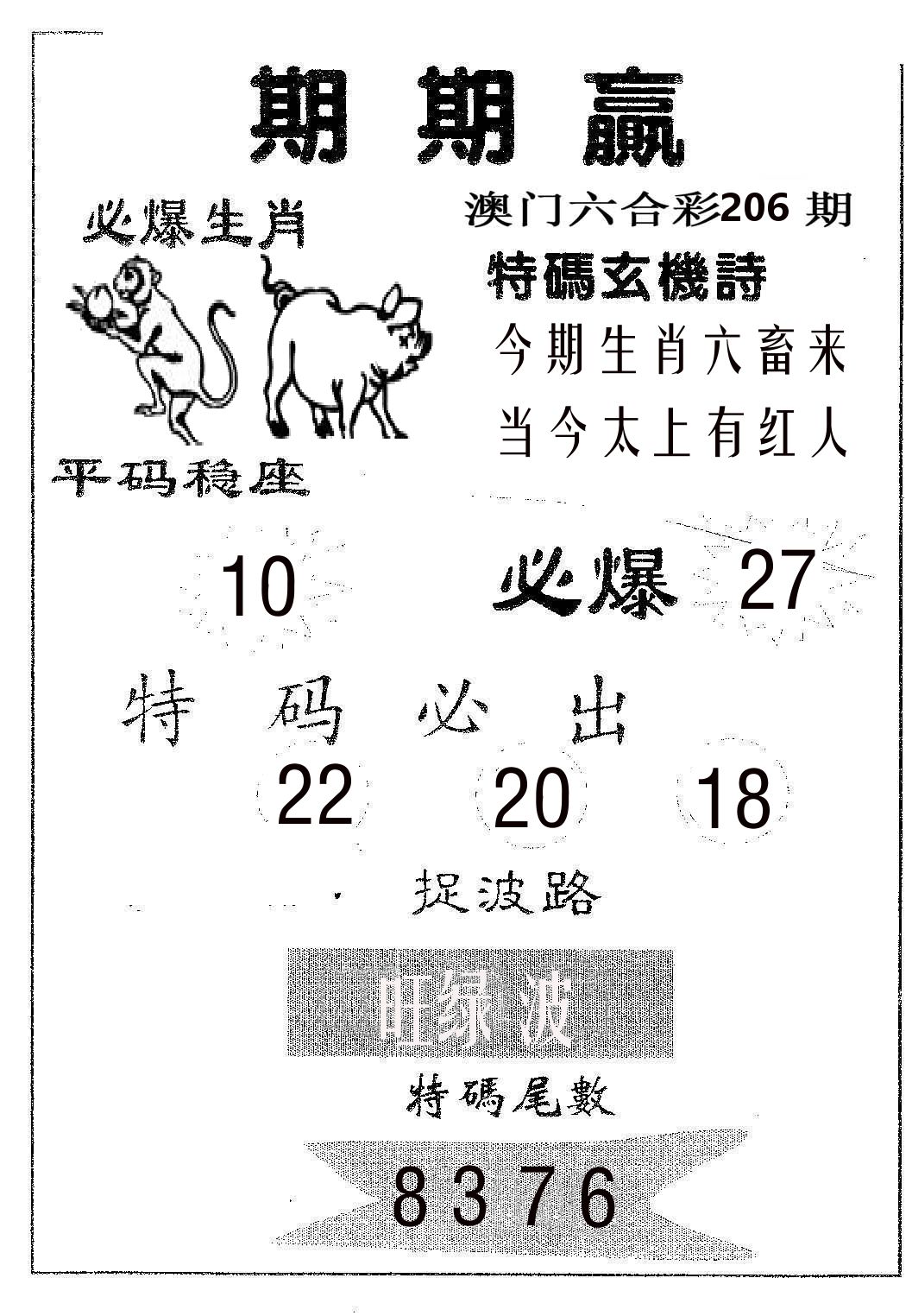 期期赢 第206期