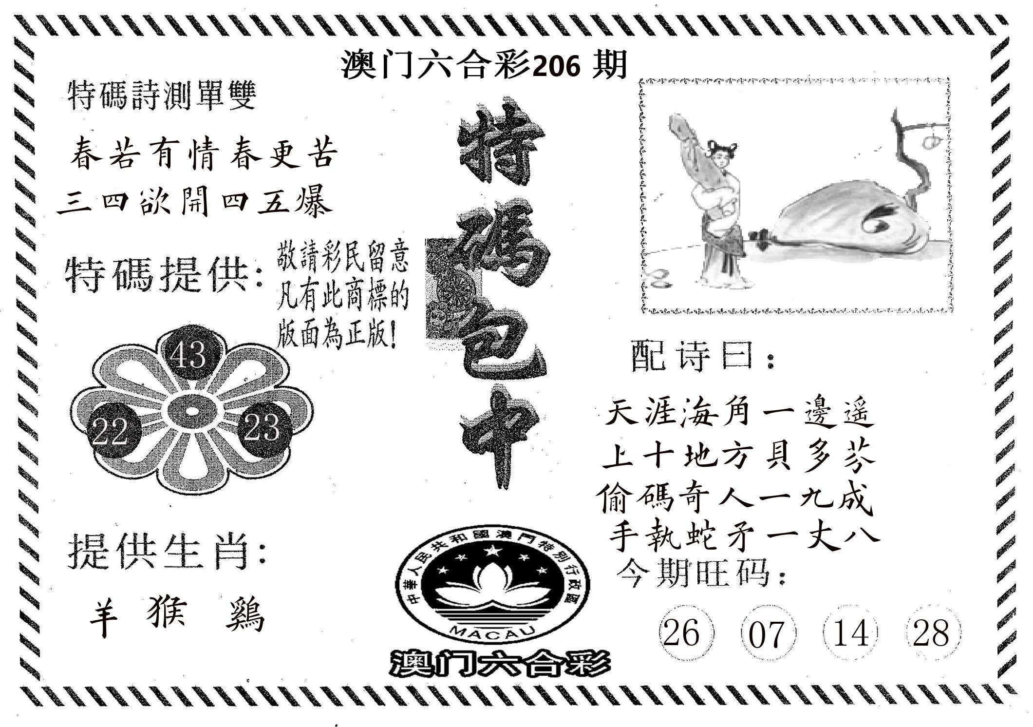 特码包中 第206期