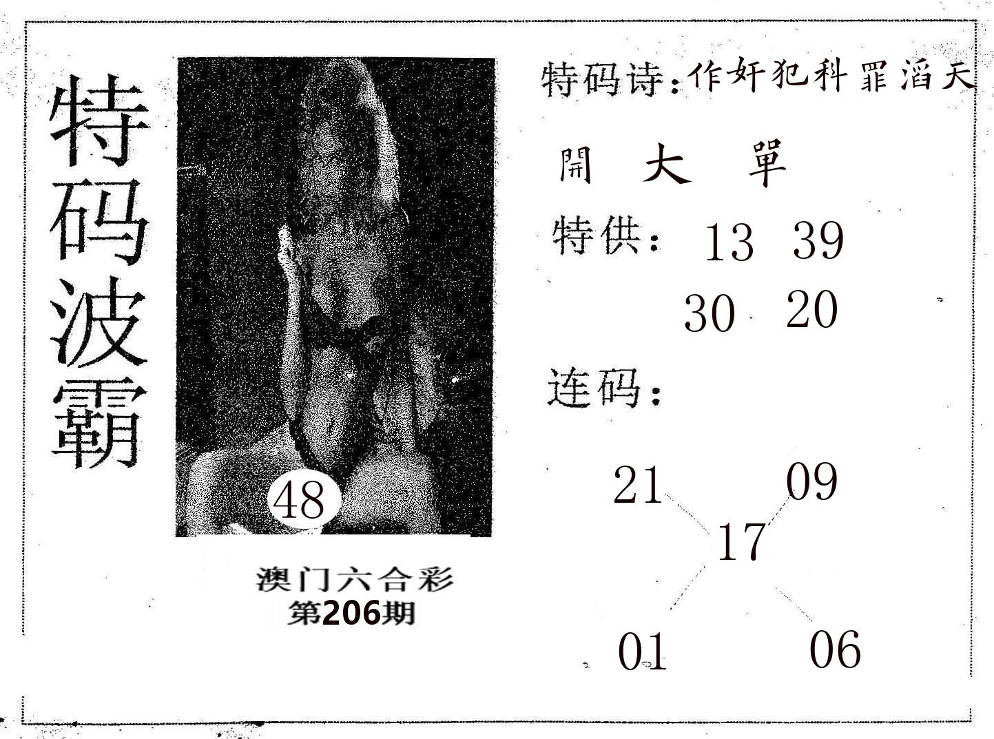 特码波霸 第206期