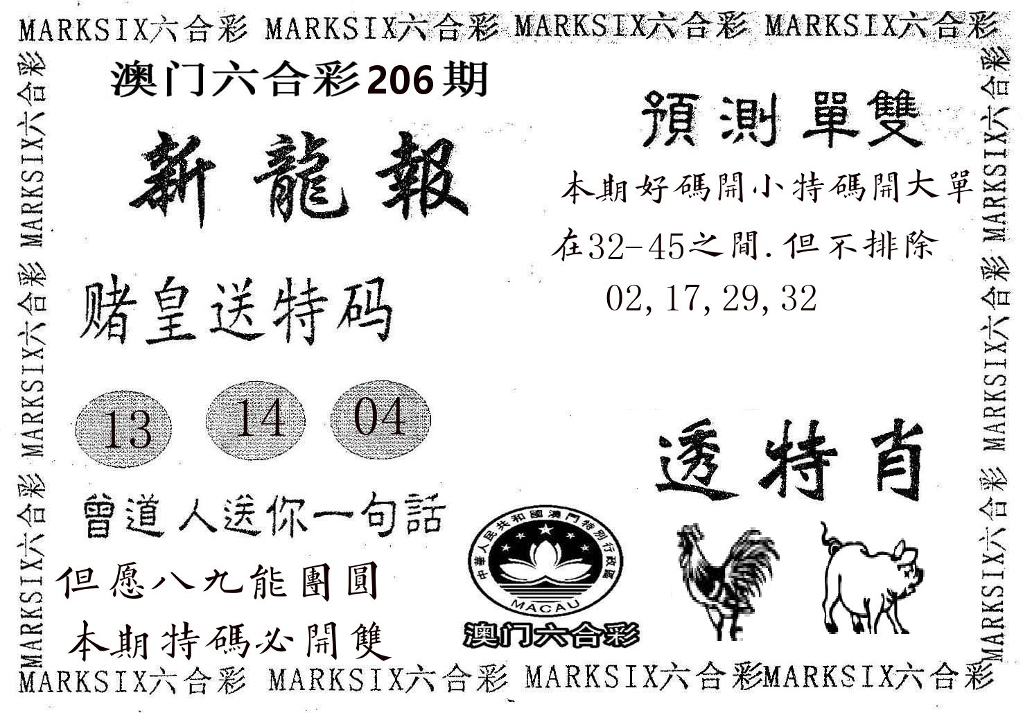 新龙报 第206期