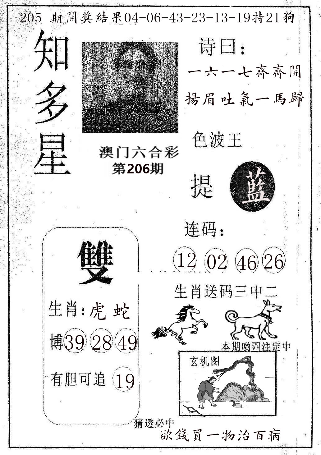 知多星 第206期