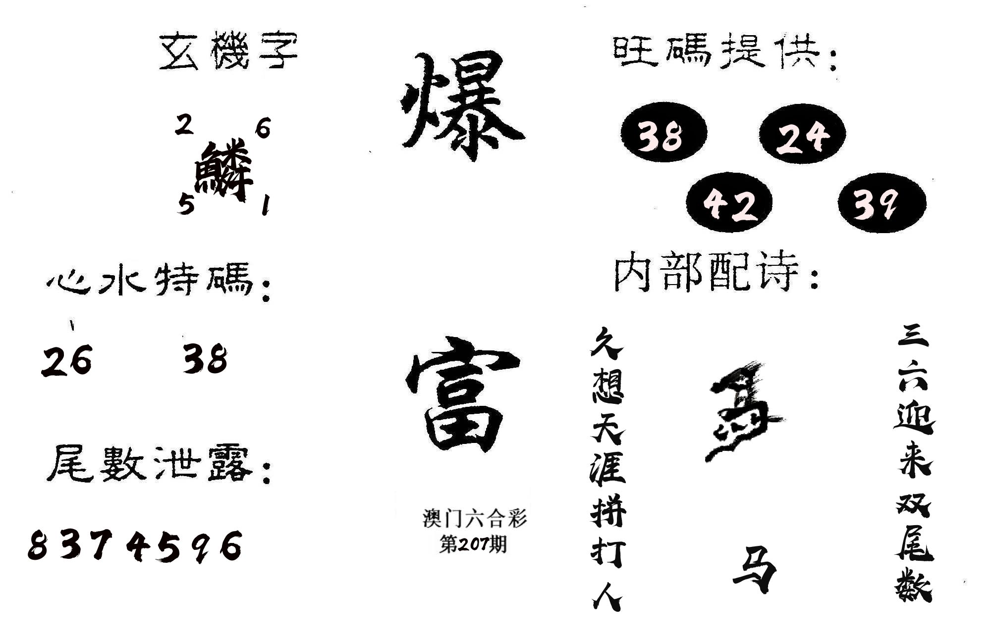 爆富 第207期