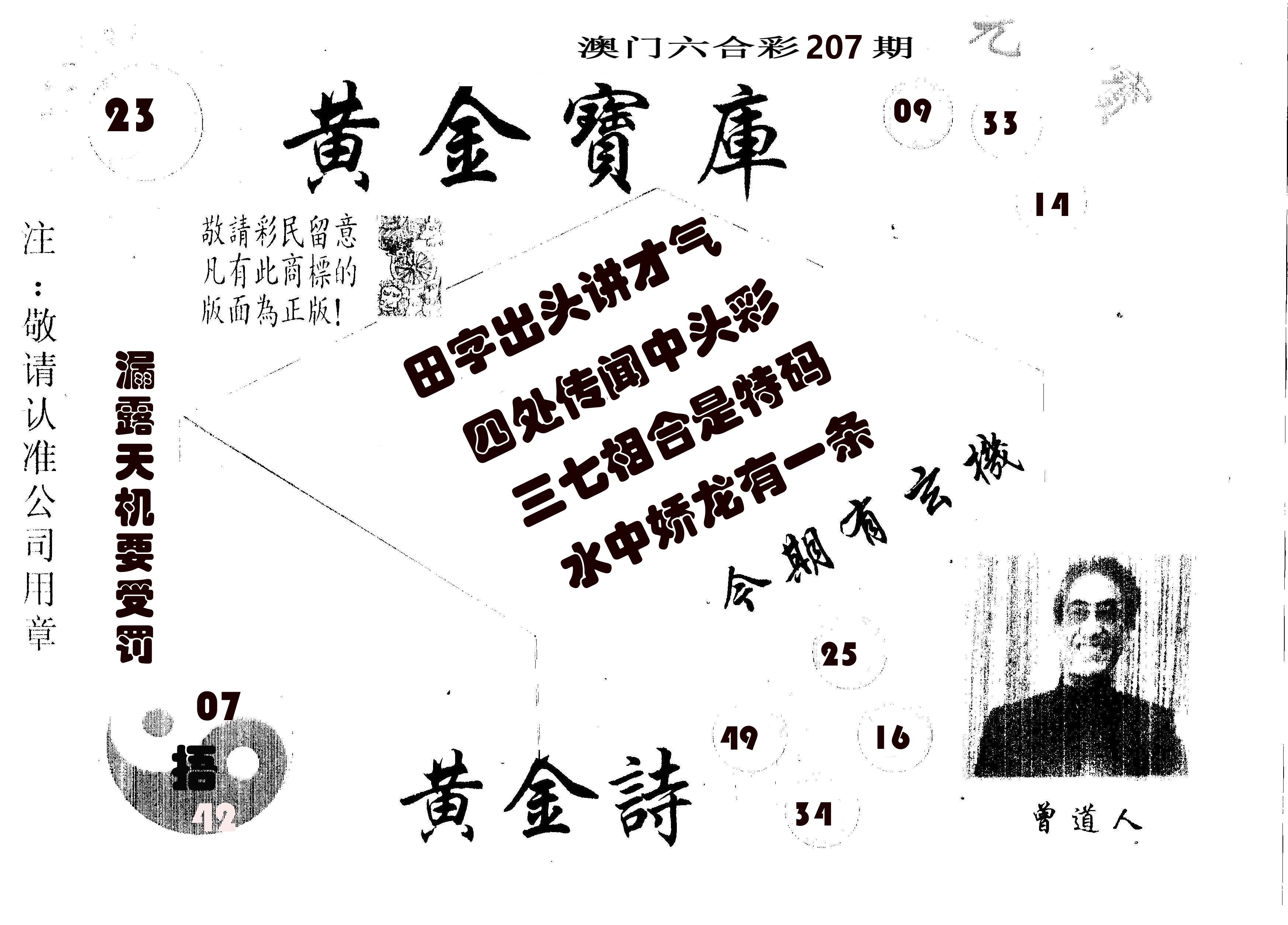 黄金宝库 第207期