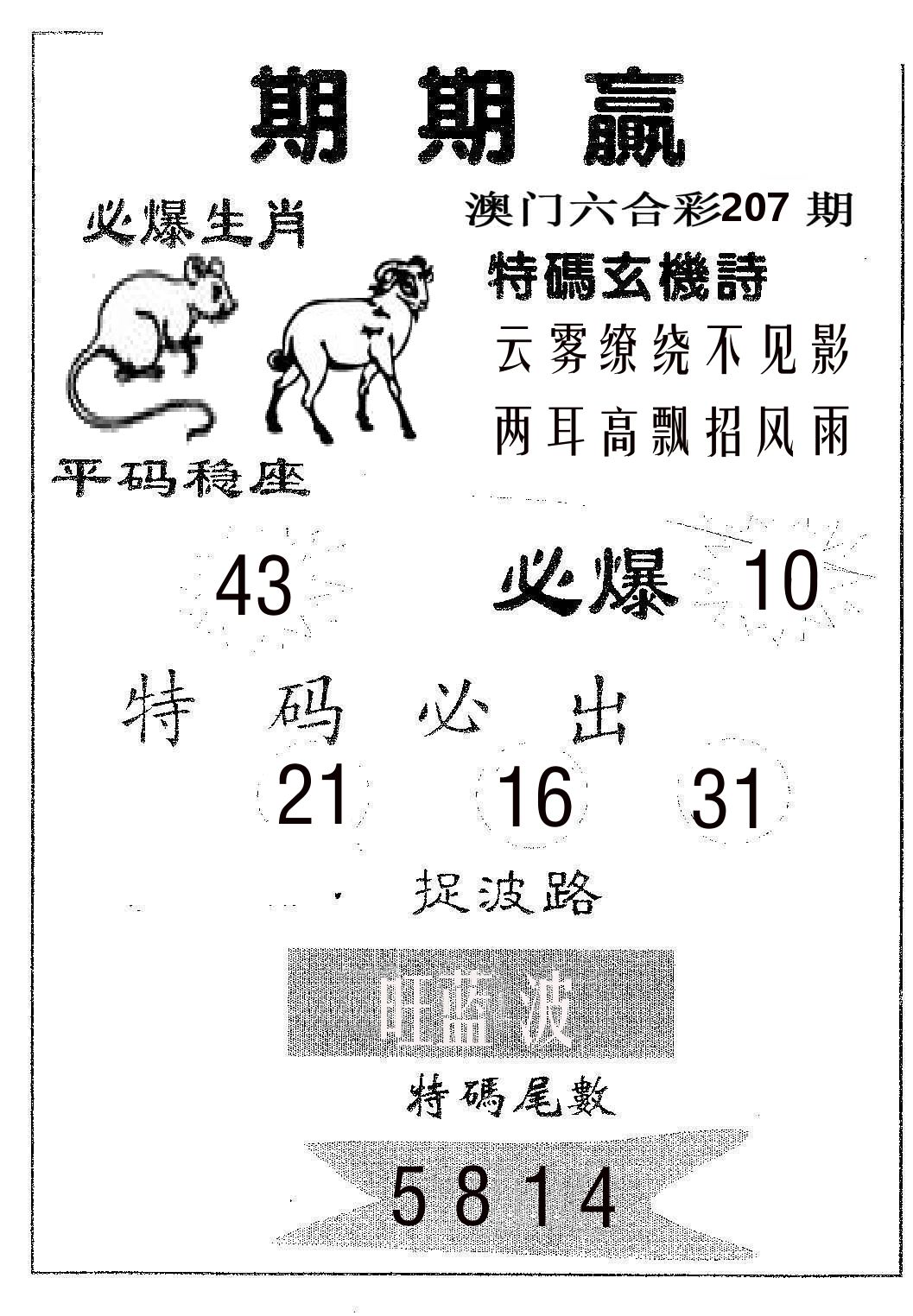 期期赢 第207期