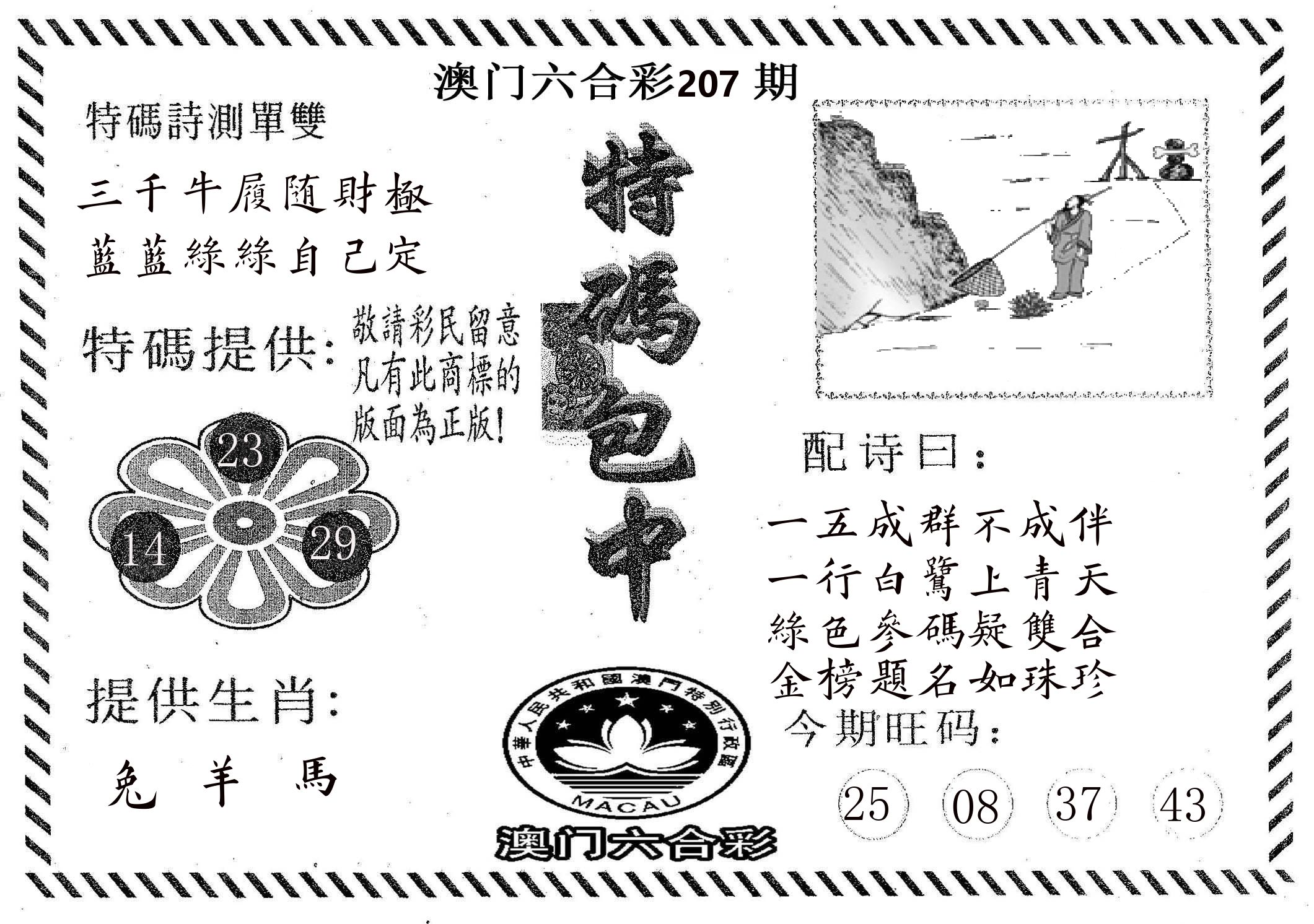 特码包中 第207期