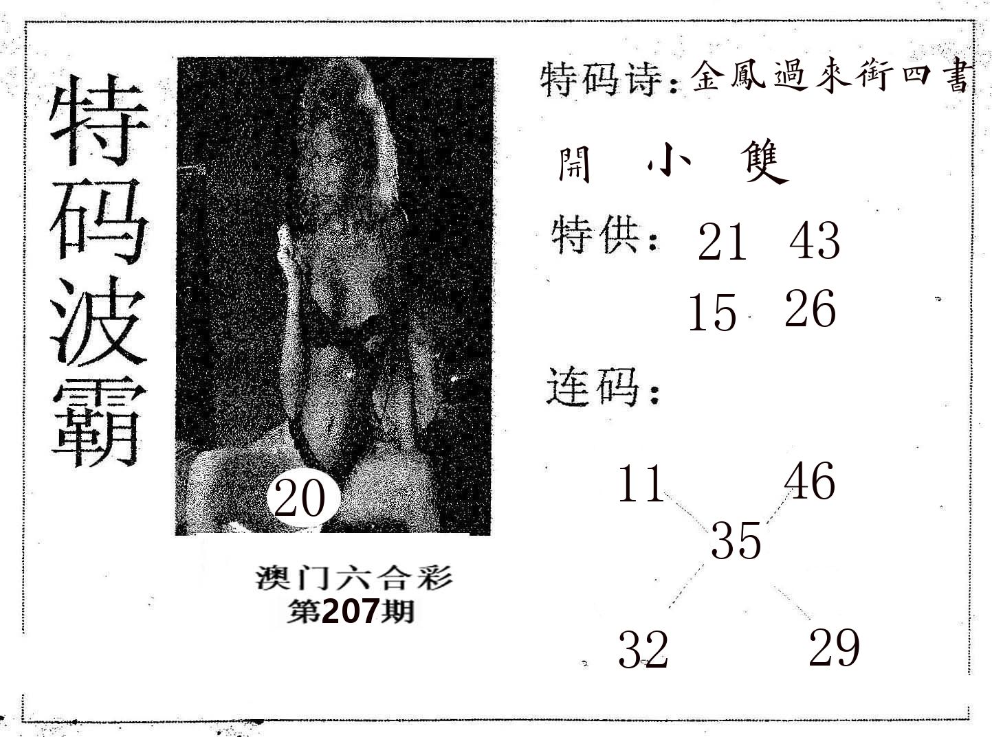 特码波霸 第207期